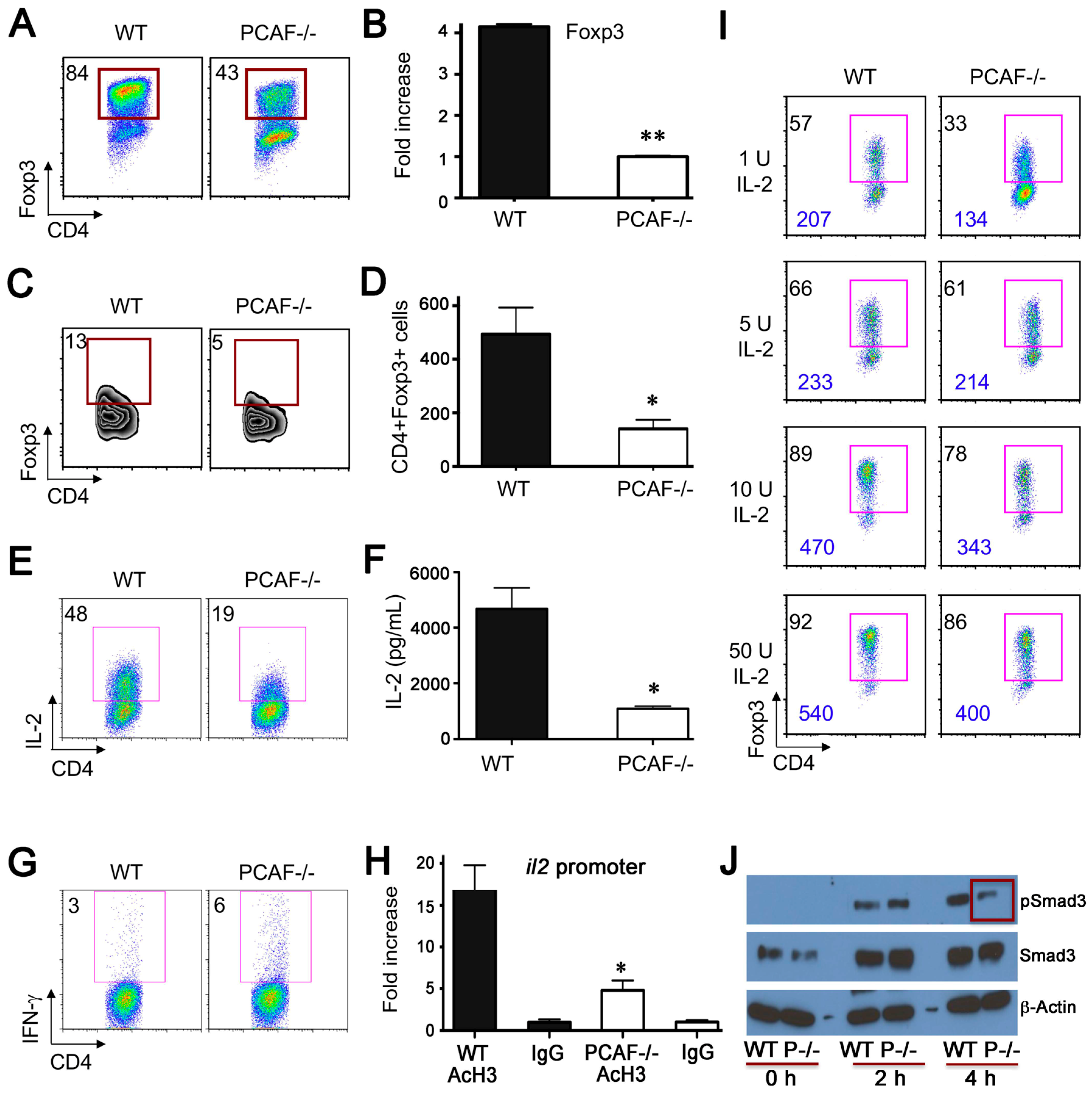 Cancers 11 00554 g003