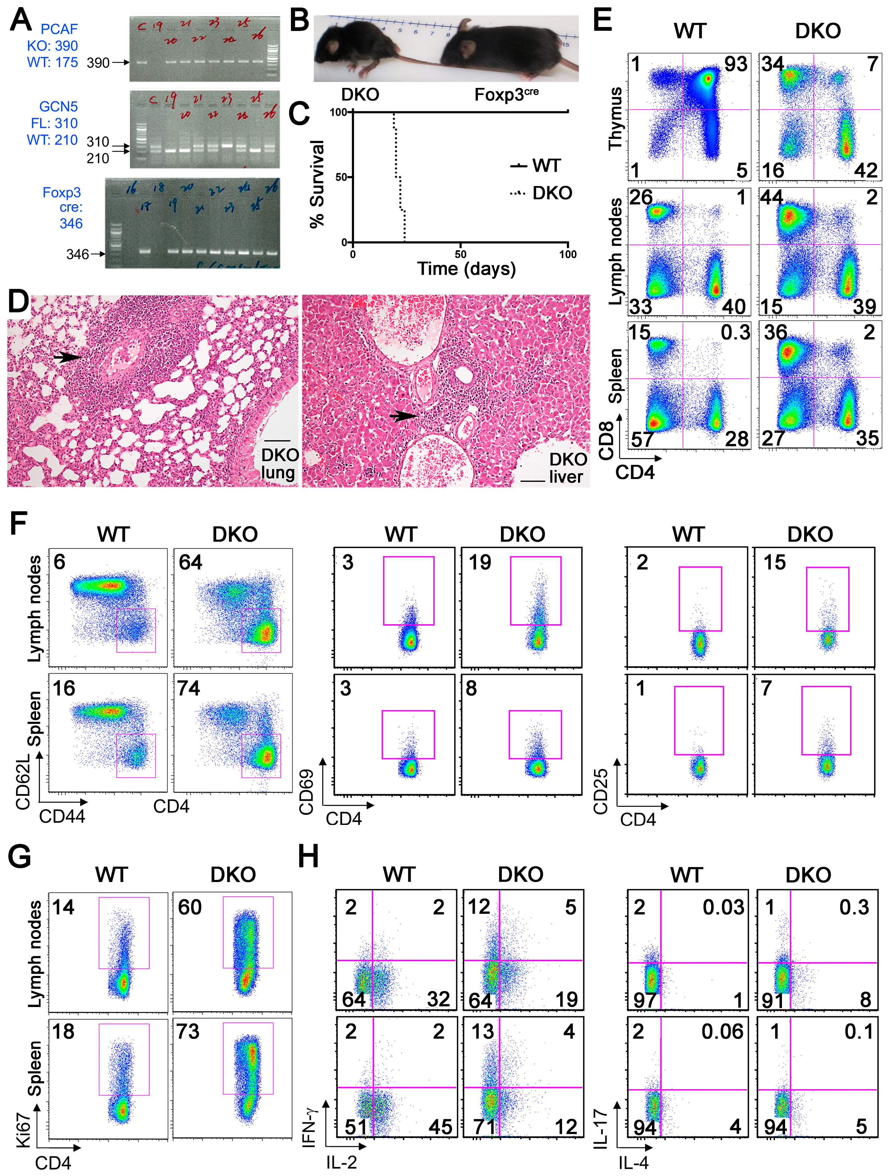 Cancers 11 00554 g005