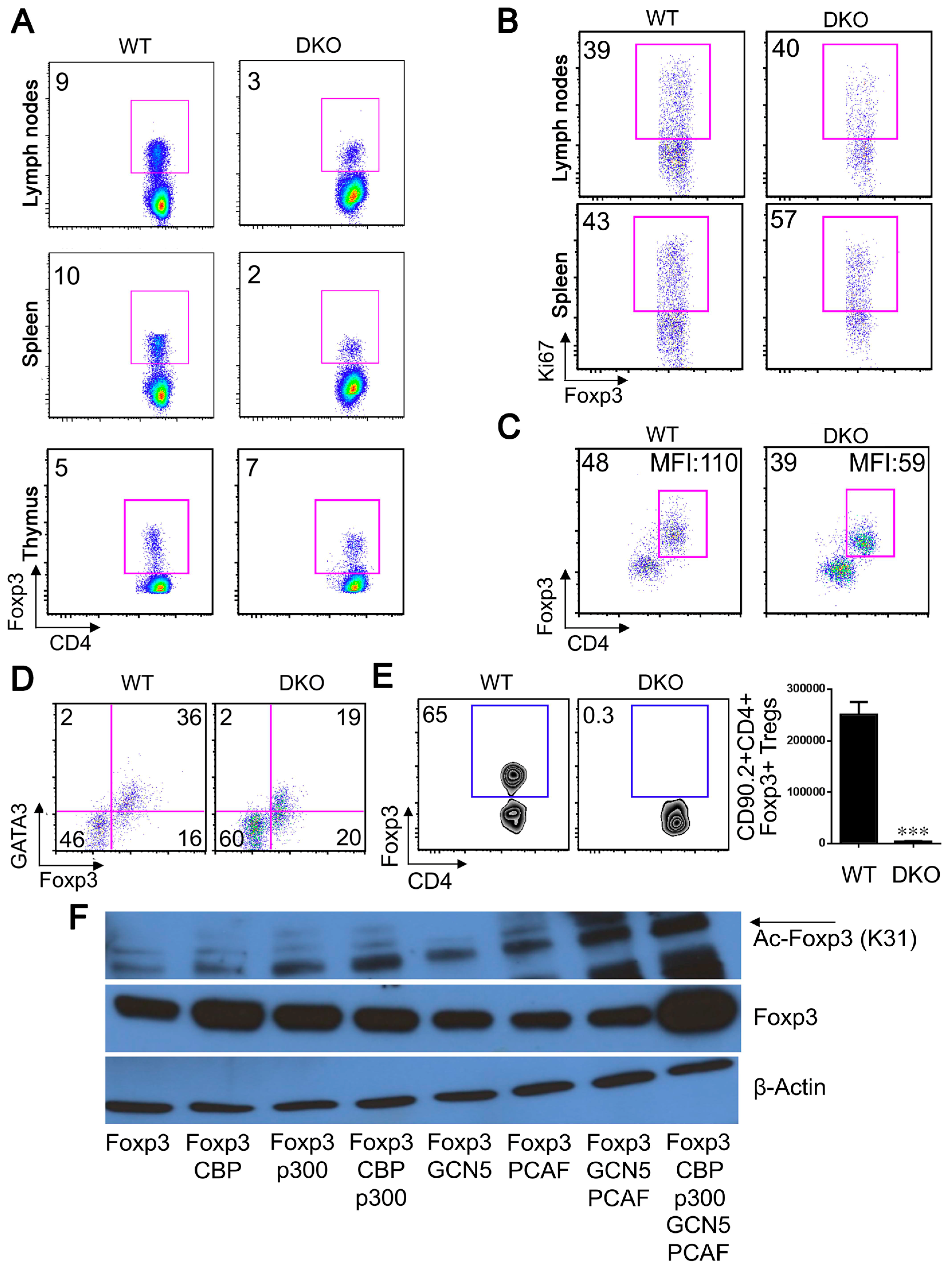 Cancers 11 00554 g006