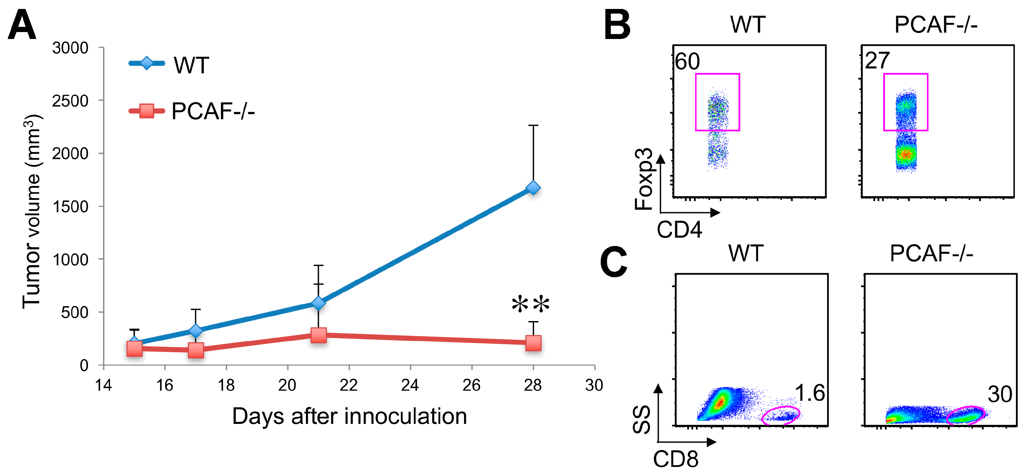 Cancers 11 00554 g007