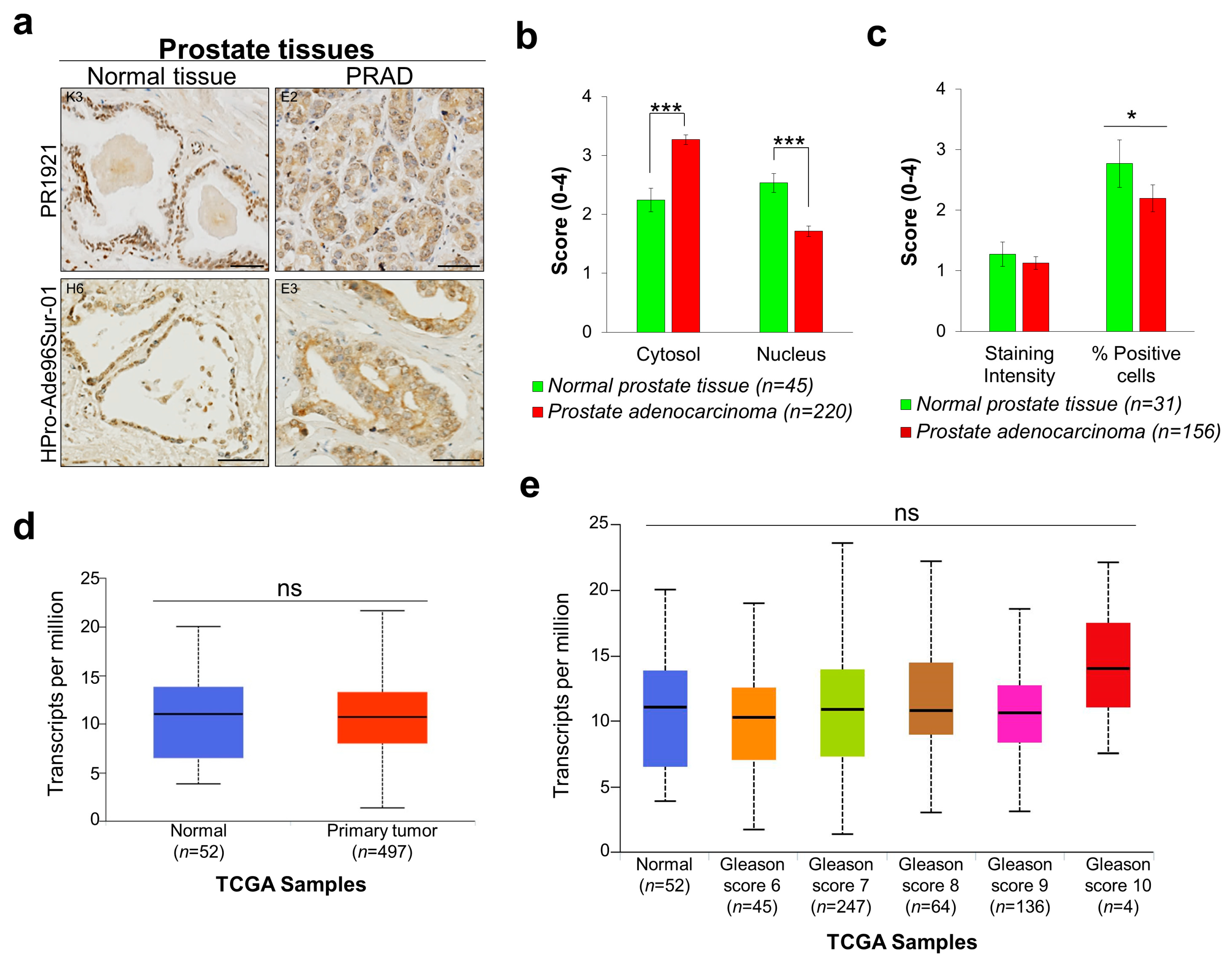 Cancers 11 00556 g003