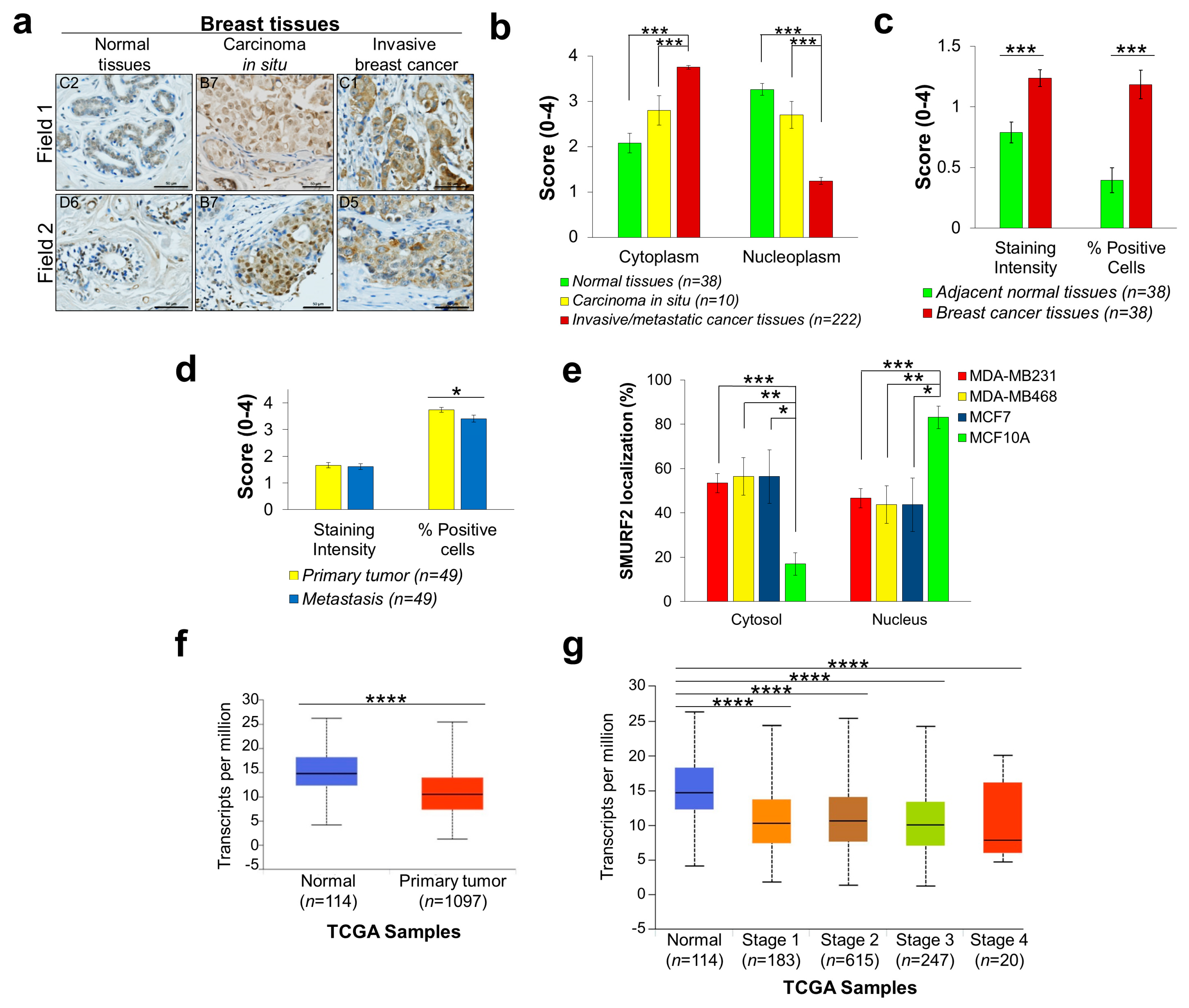 Cancers 11 00556 g004