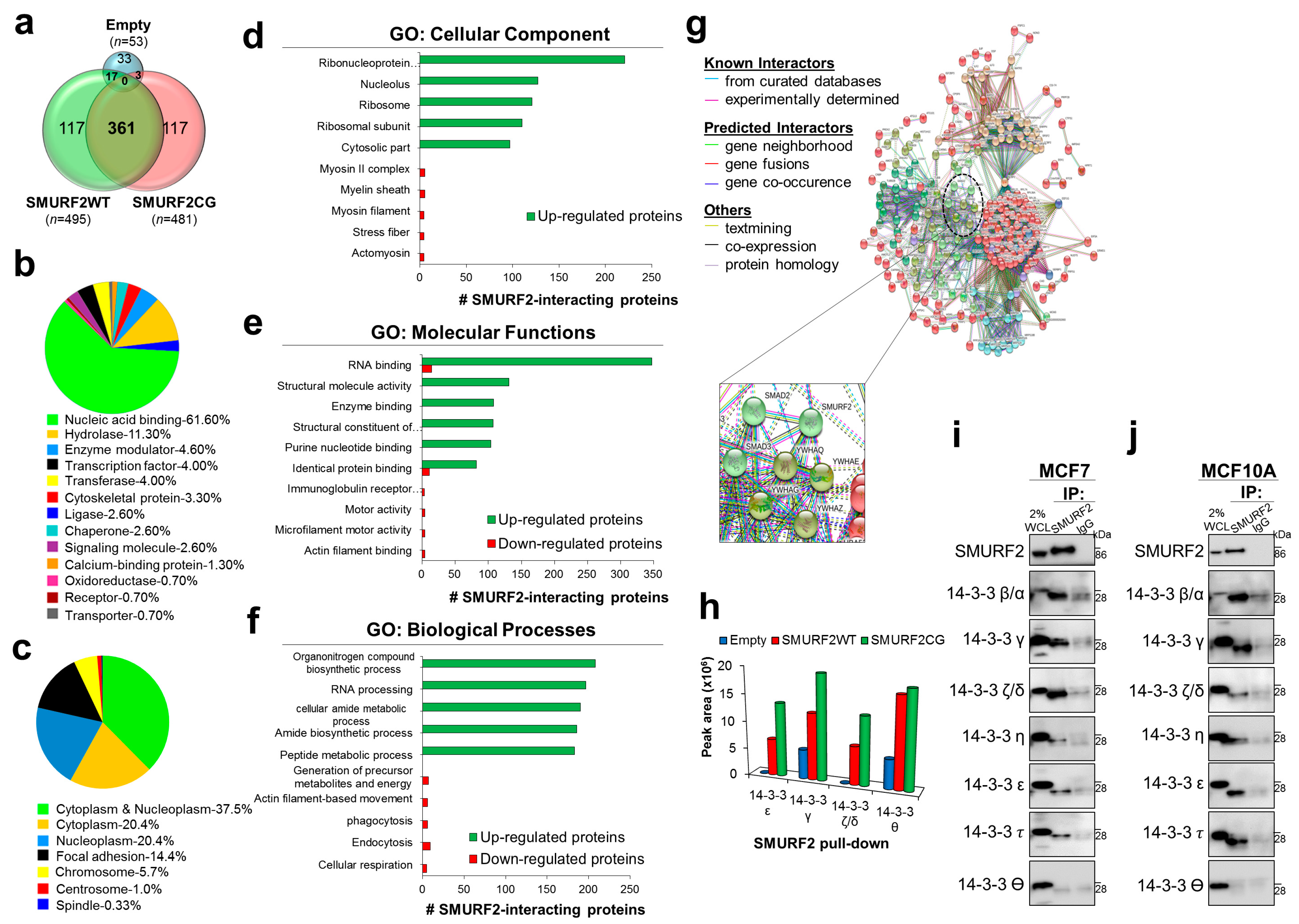 Cancers 11 00556 g006