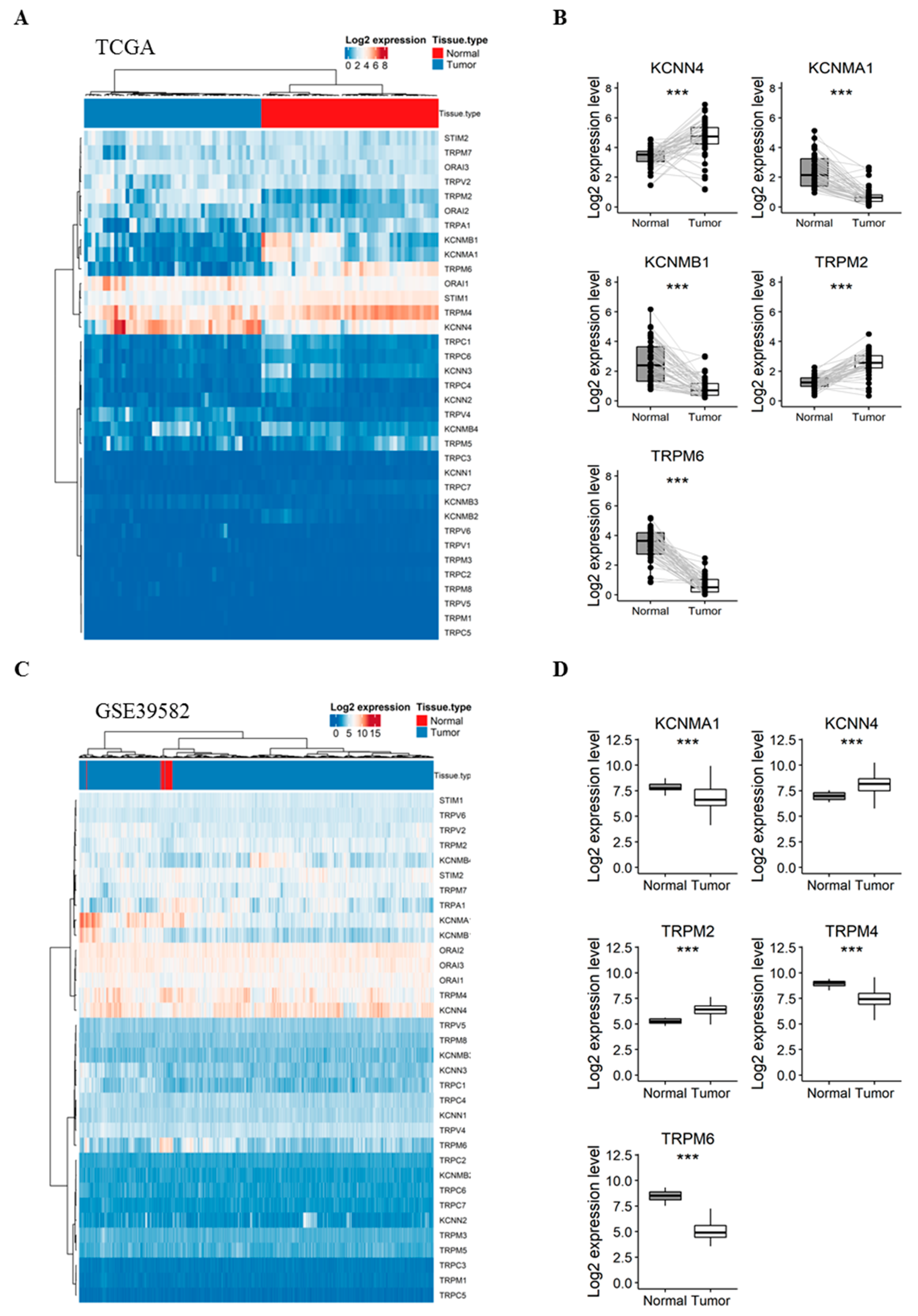 Cancers 11 00561 g001