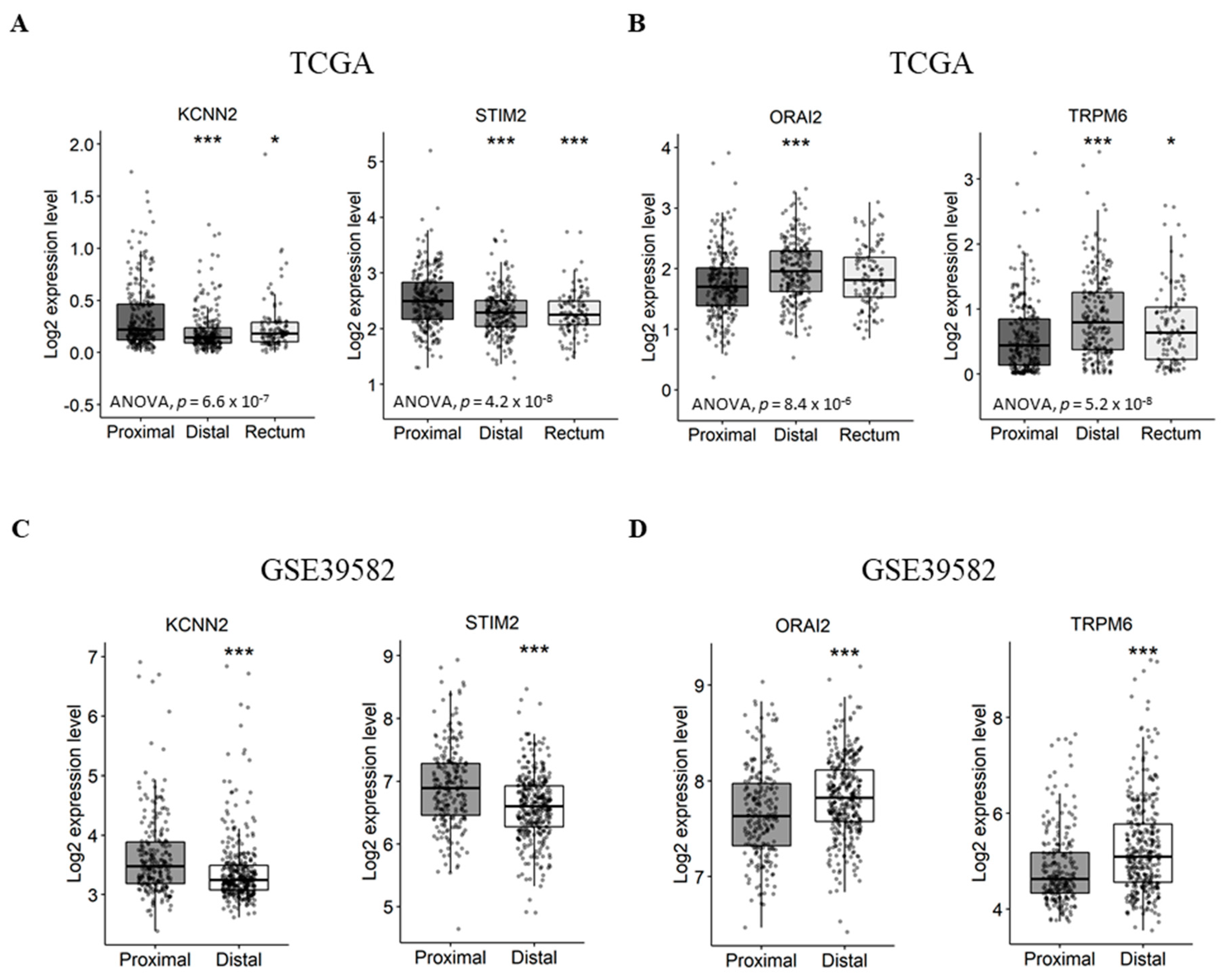 Cancers 11 00561 g003