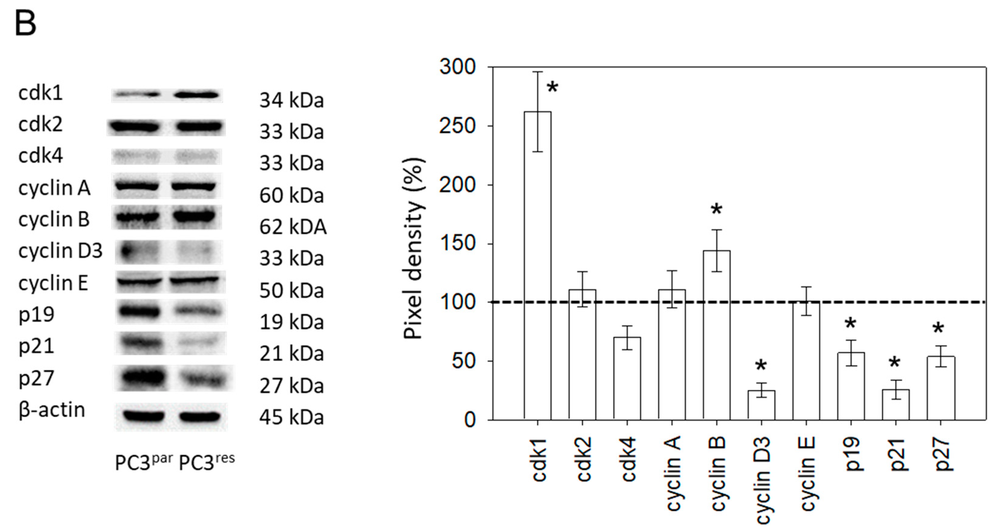 Cancers 11 00566 g003b