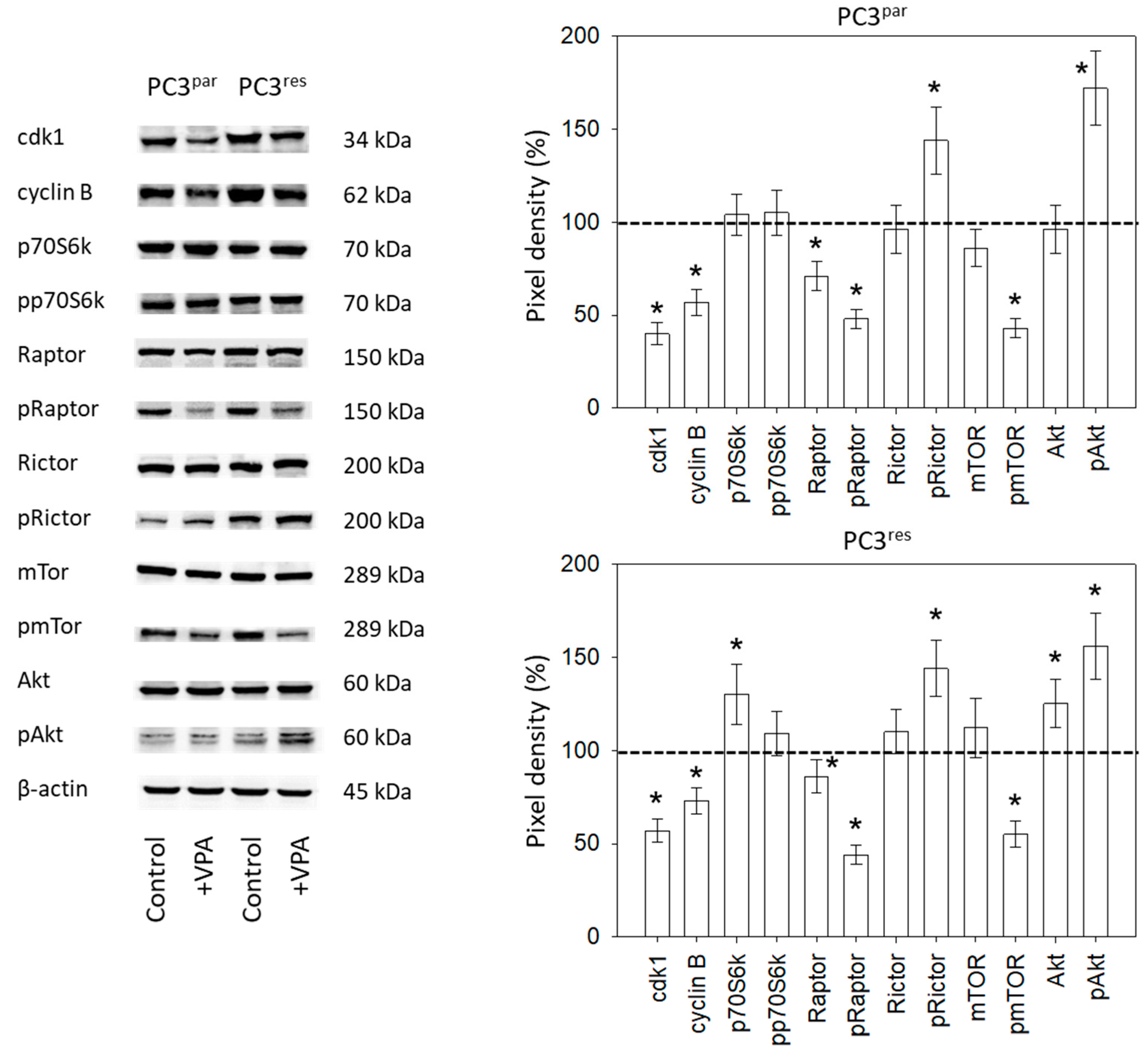 Cancers 11 00566 g005