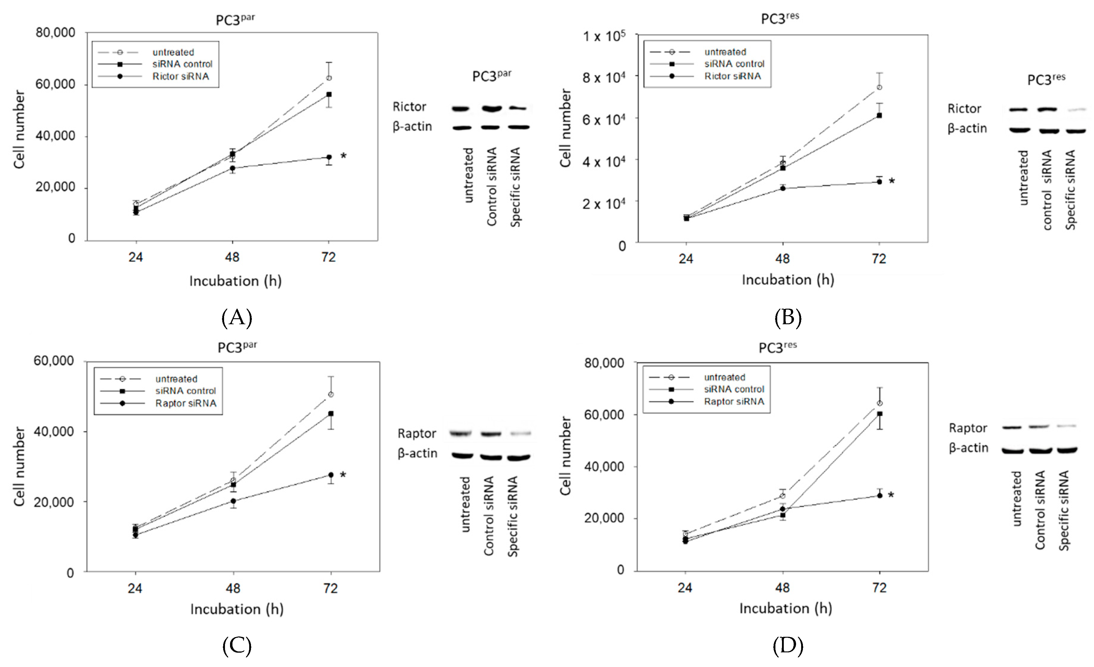 Cancers 11 00566 g007