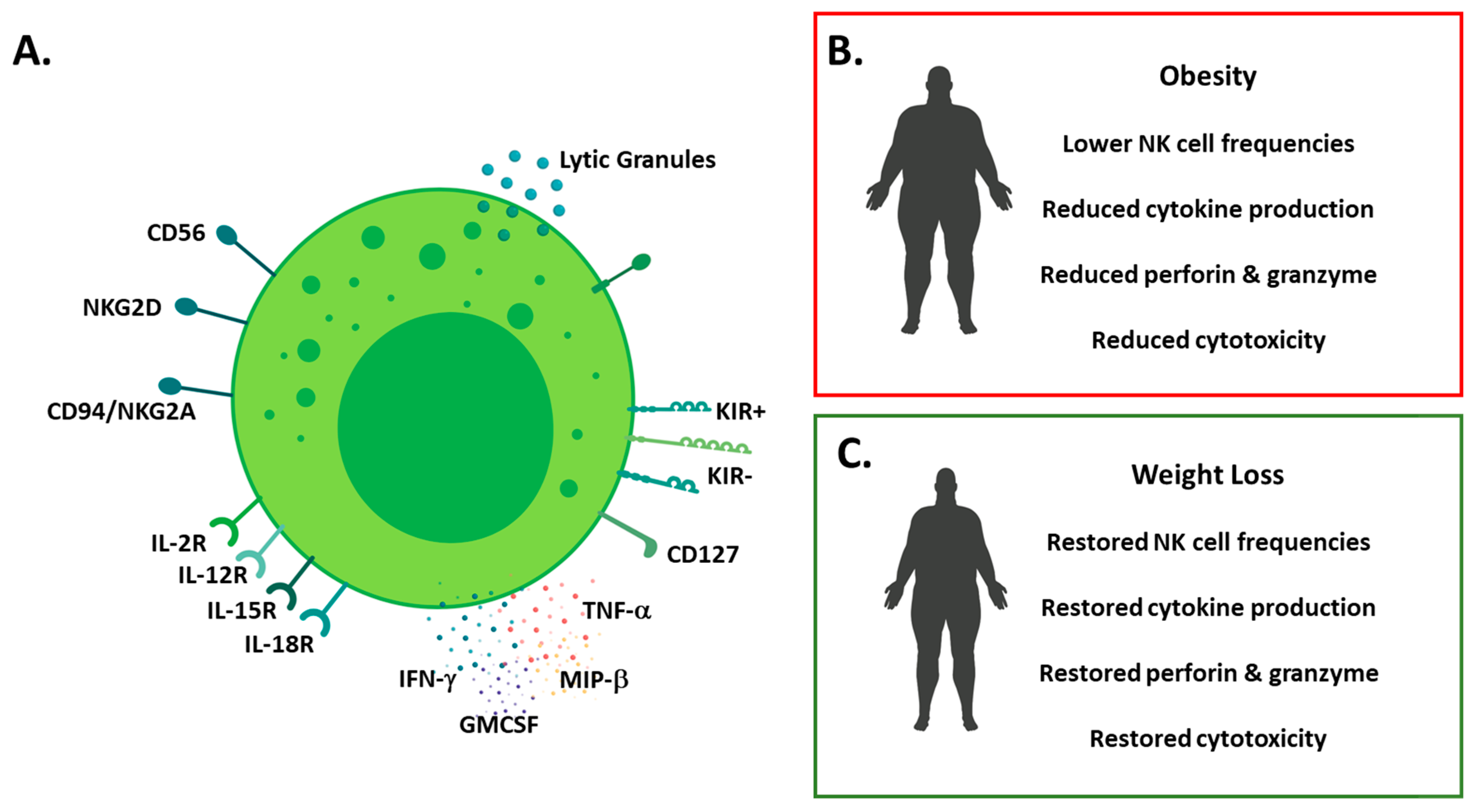 Cancers 11 00573 g001 Cancers 11 00573 g001