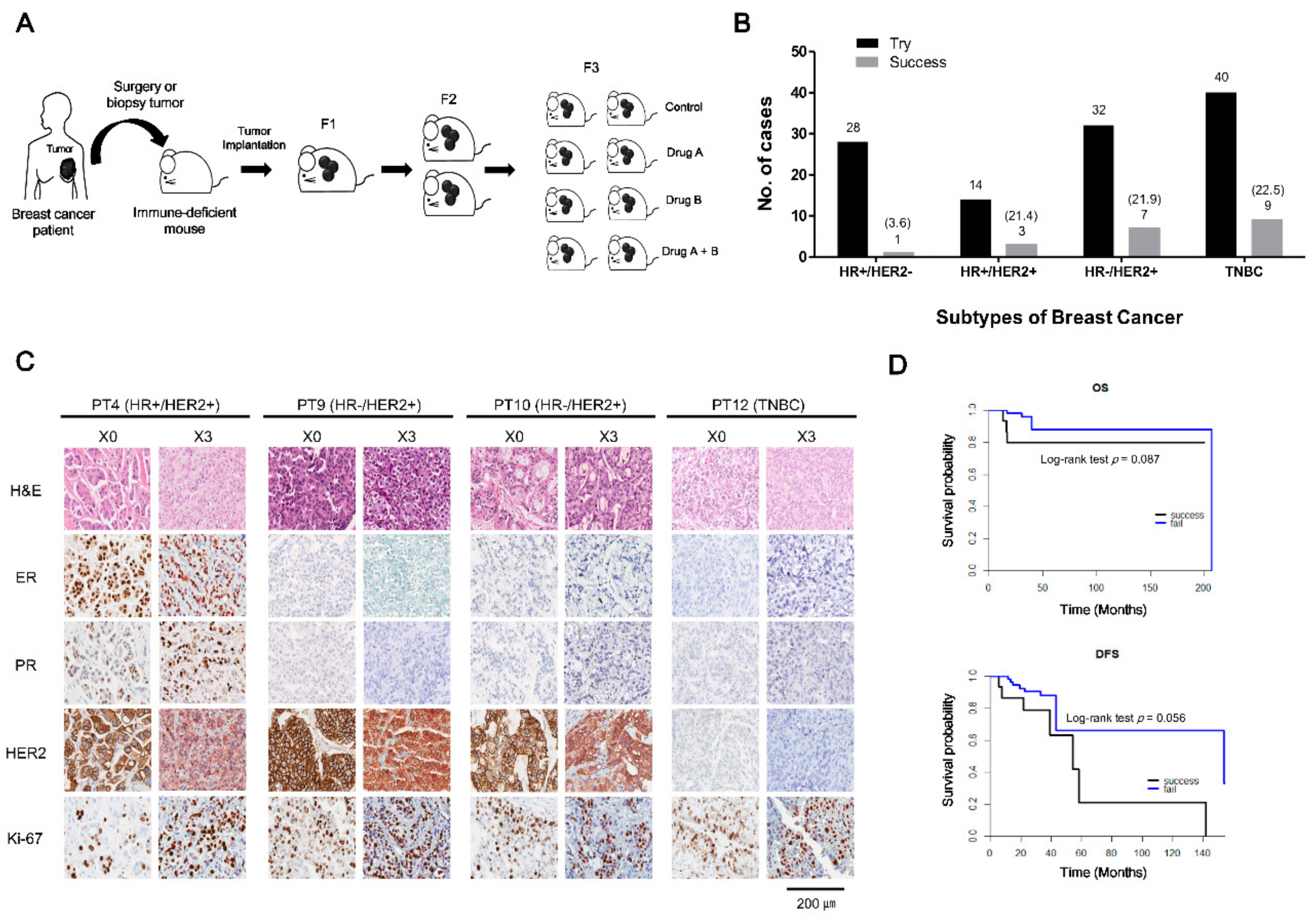 Cancers 11 00574 g001