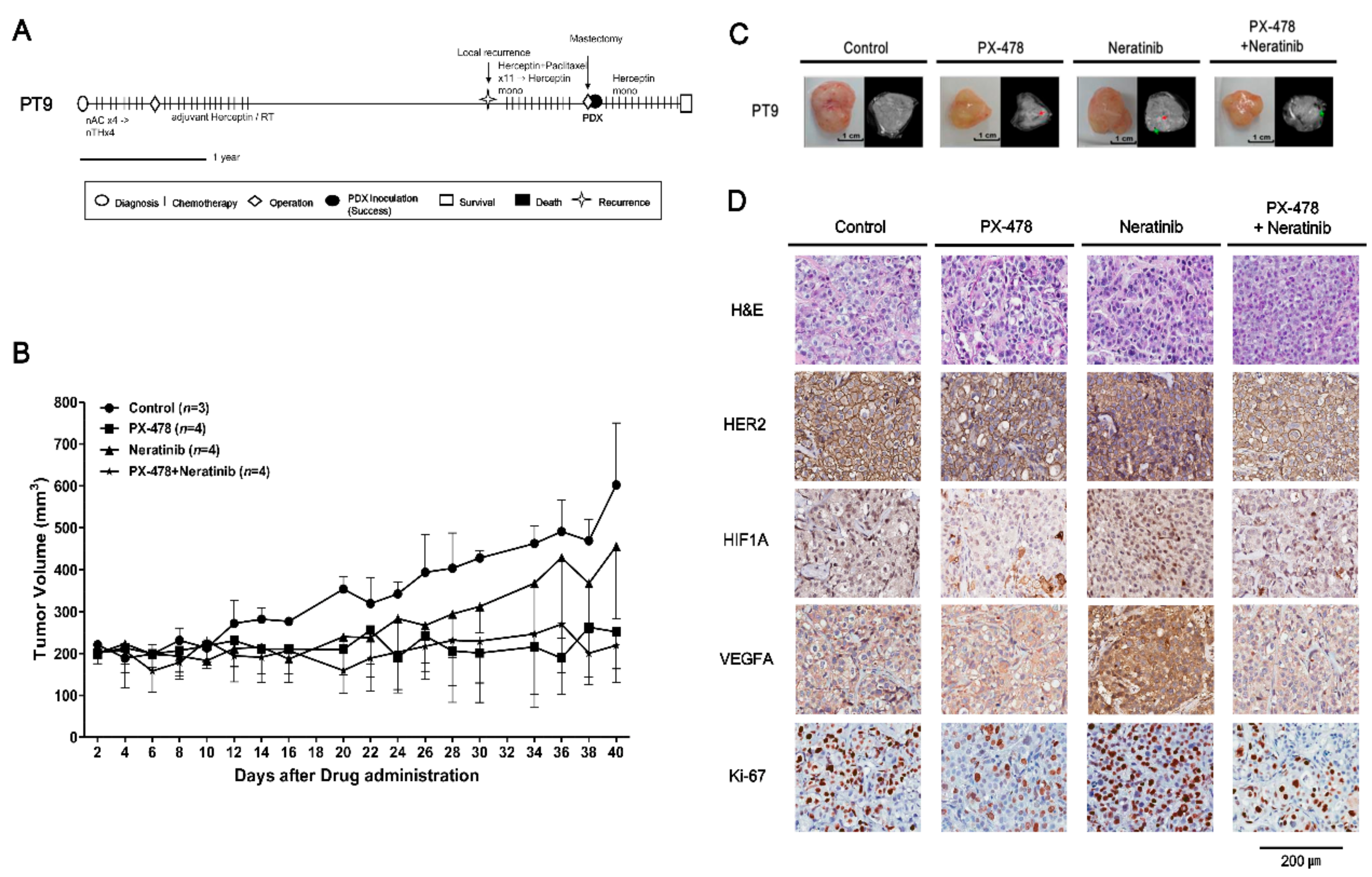 Cancers 11 00574 g004