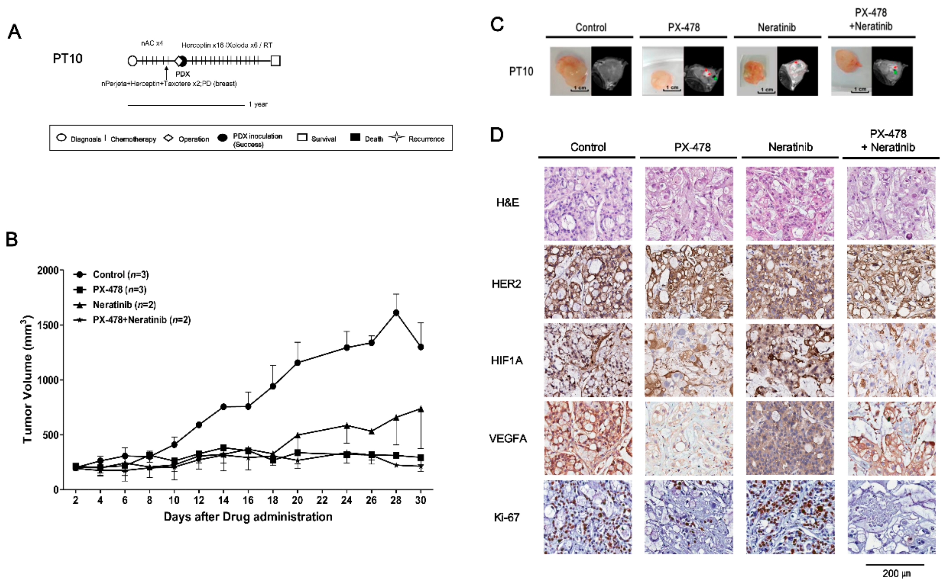 Cancers 11 00574 g005