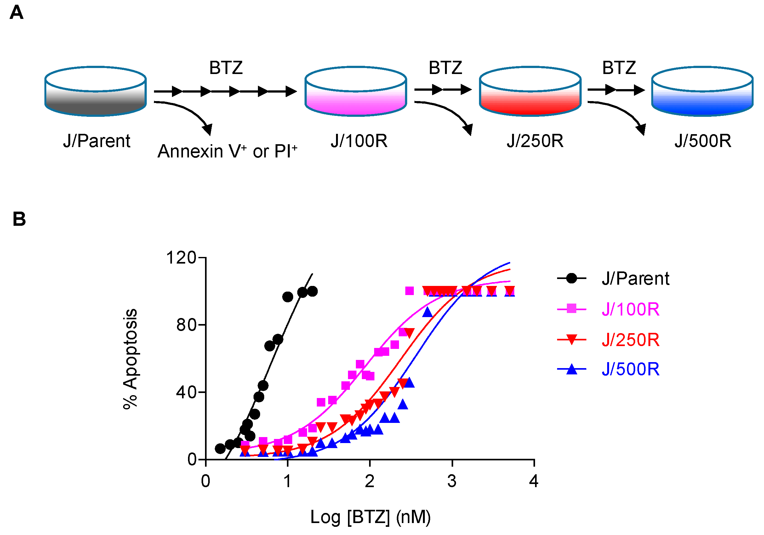 Cancers 11 00576 g001 Cancers 11 00576 g001