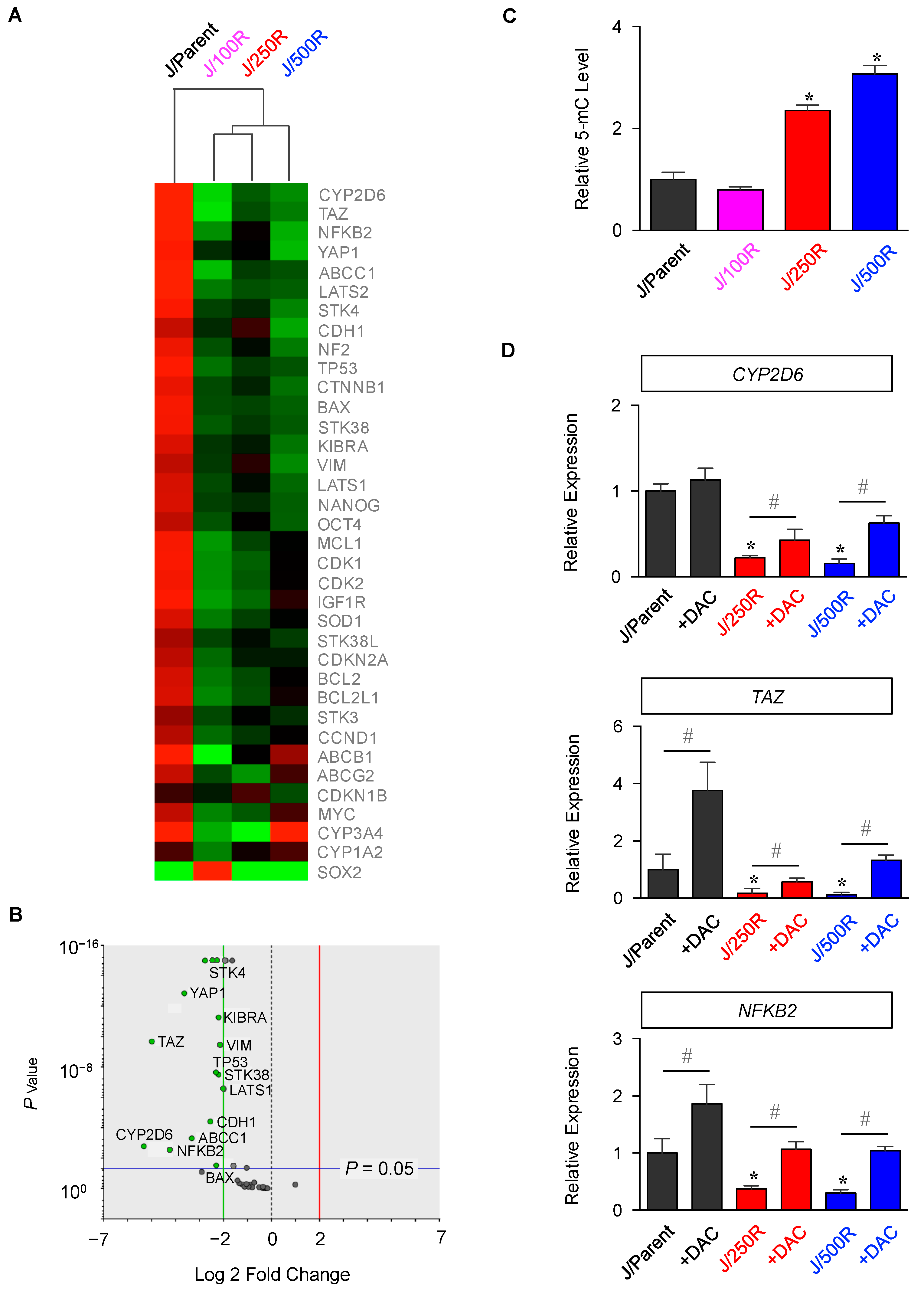 Cancers 11 00576 g002 Cancers 11 00576 g002