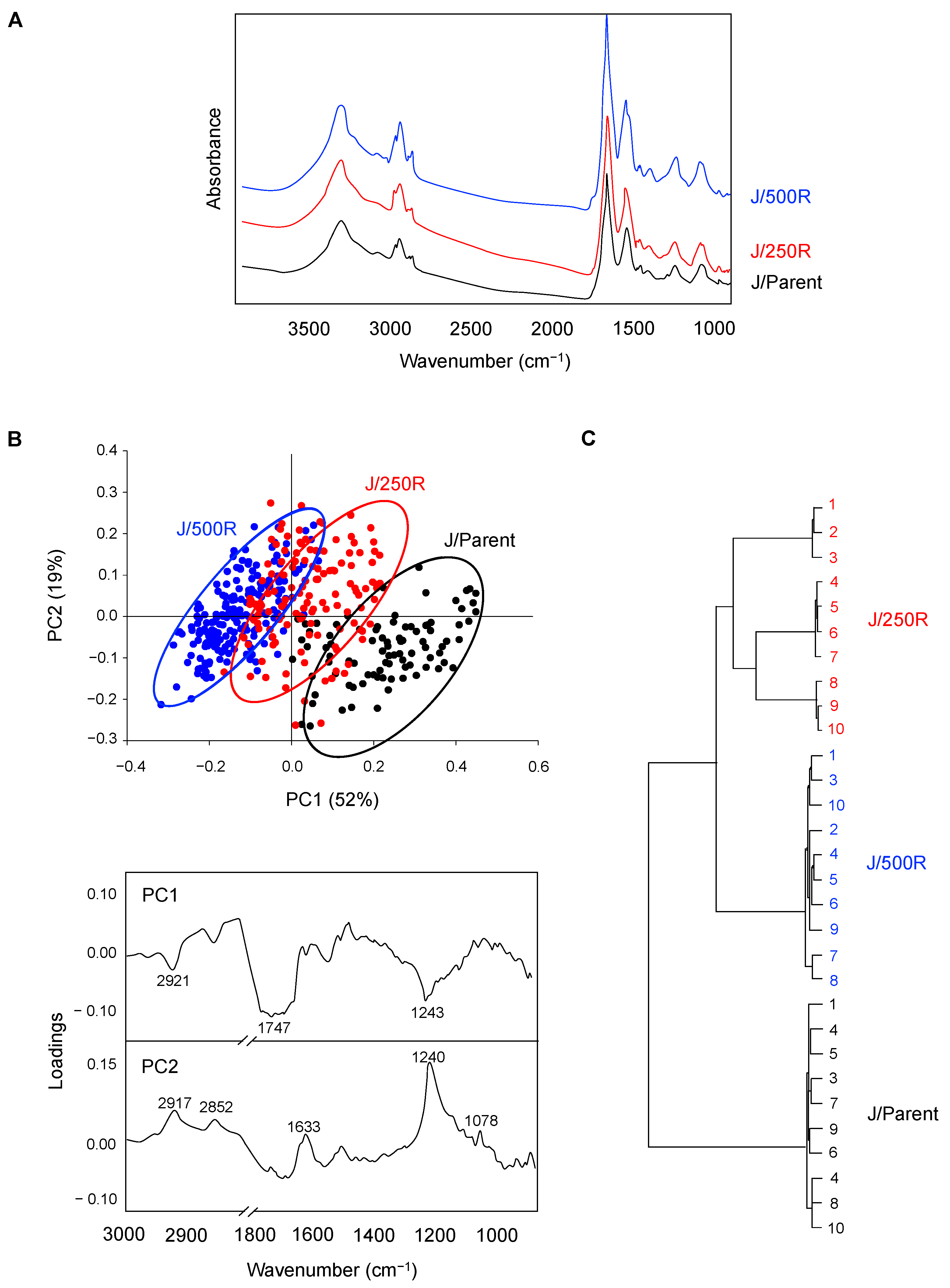 Cancers 11 00576 g003 Cancers 11 00576 g003