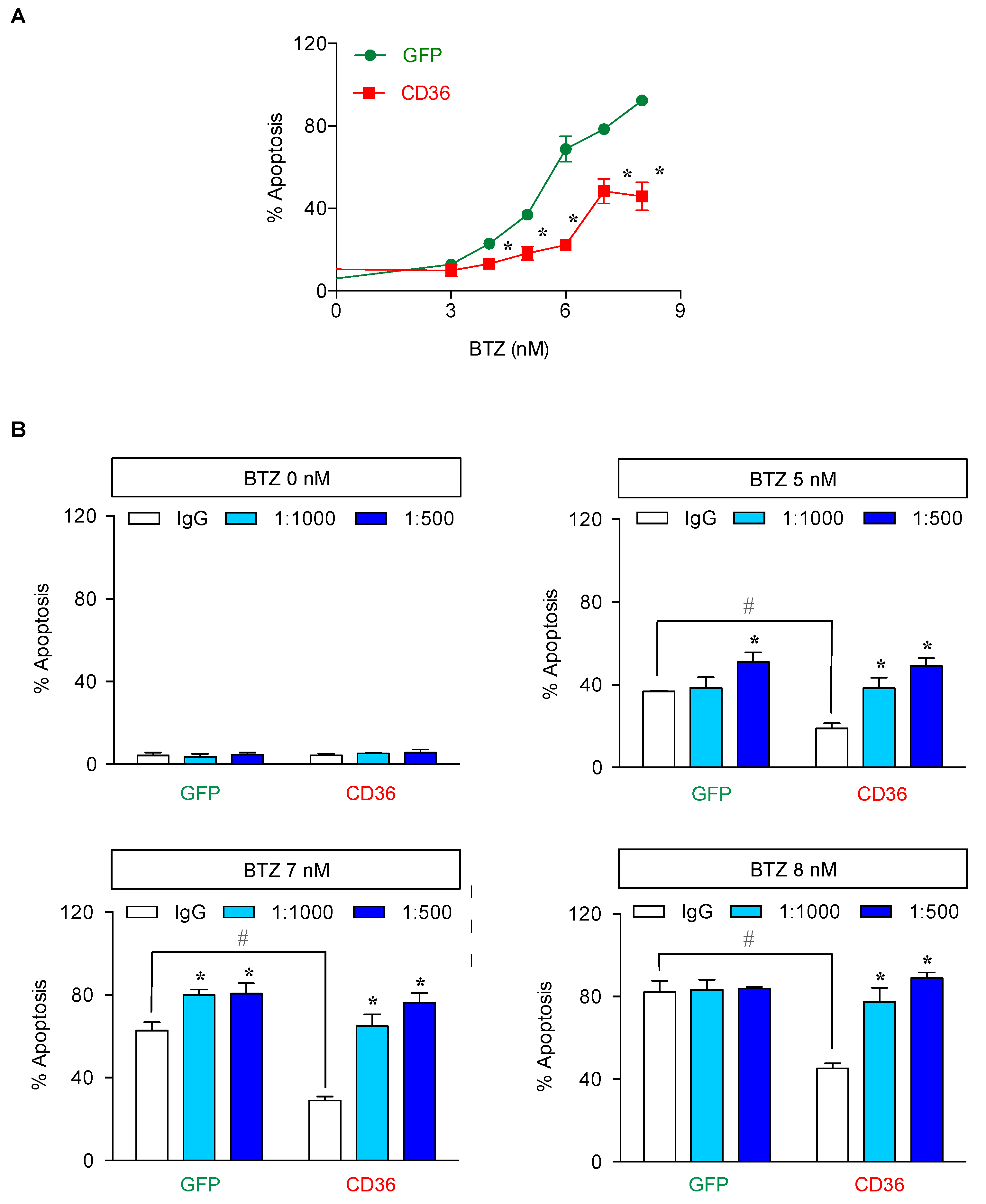 Cancers 11 00576 g009 Cancers 11 00576 g009