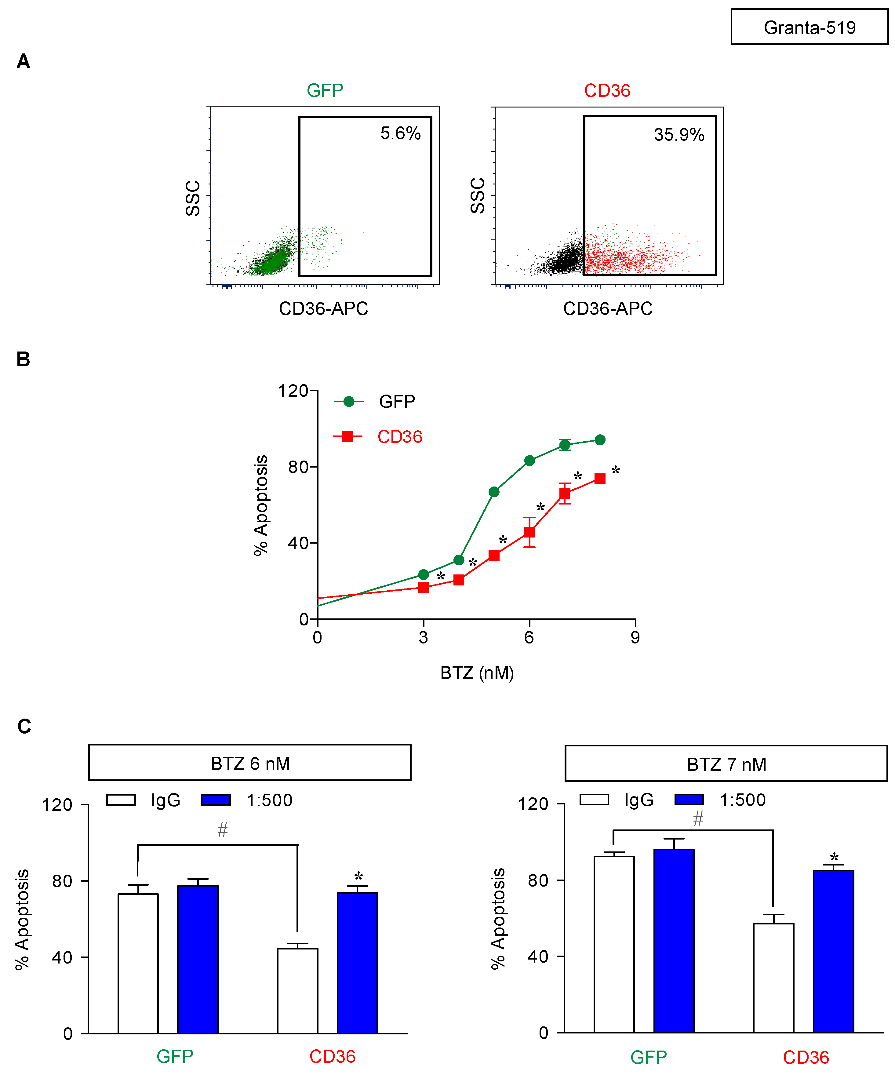 Cancers 11 00576 g010 Cancers 11 00576 g010