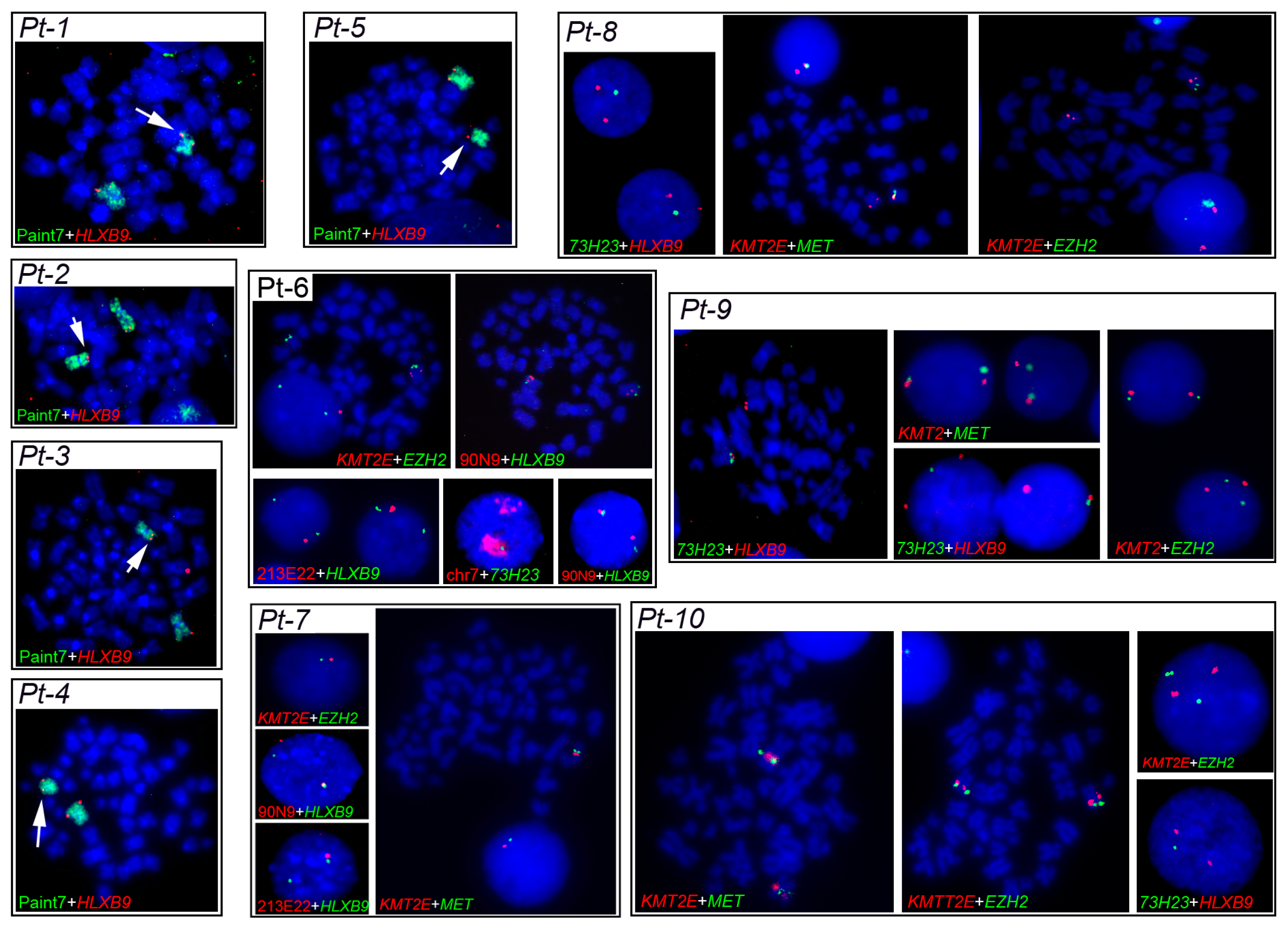 Cancers 11 00585 g004 Cancers 11 00585 g004