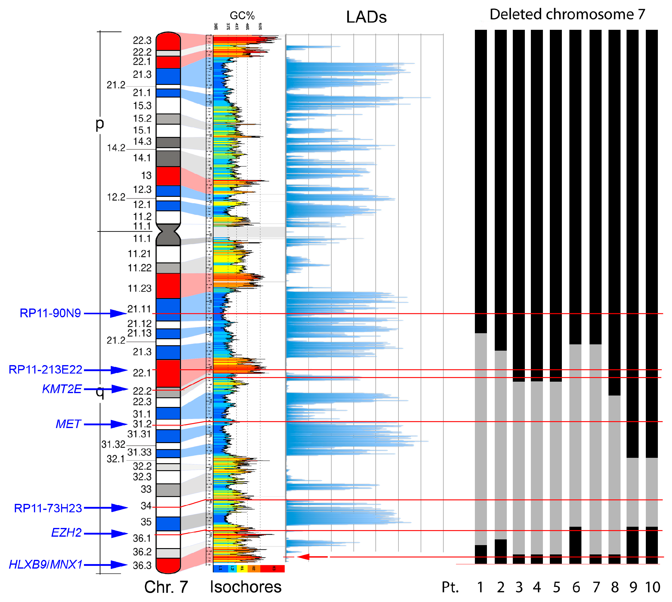 Cancers 11 00585 g005 Cancers 11 00585 g005