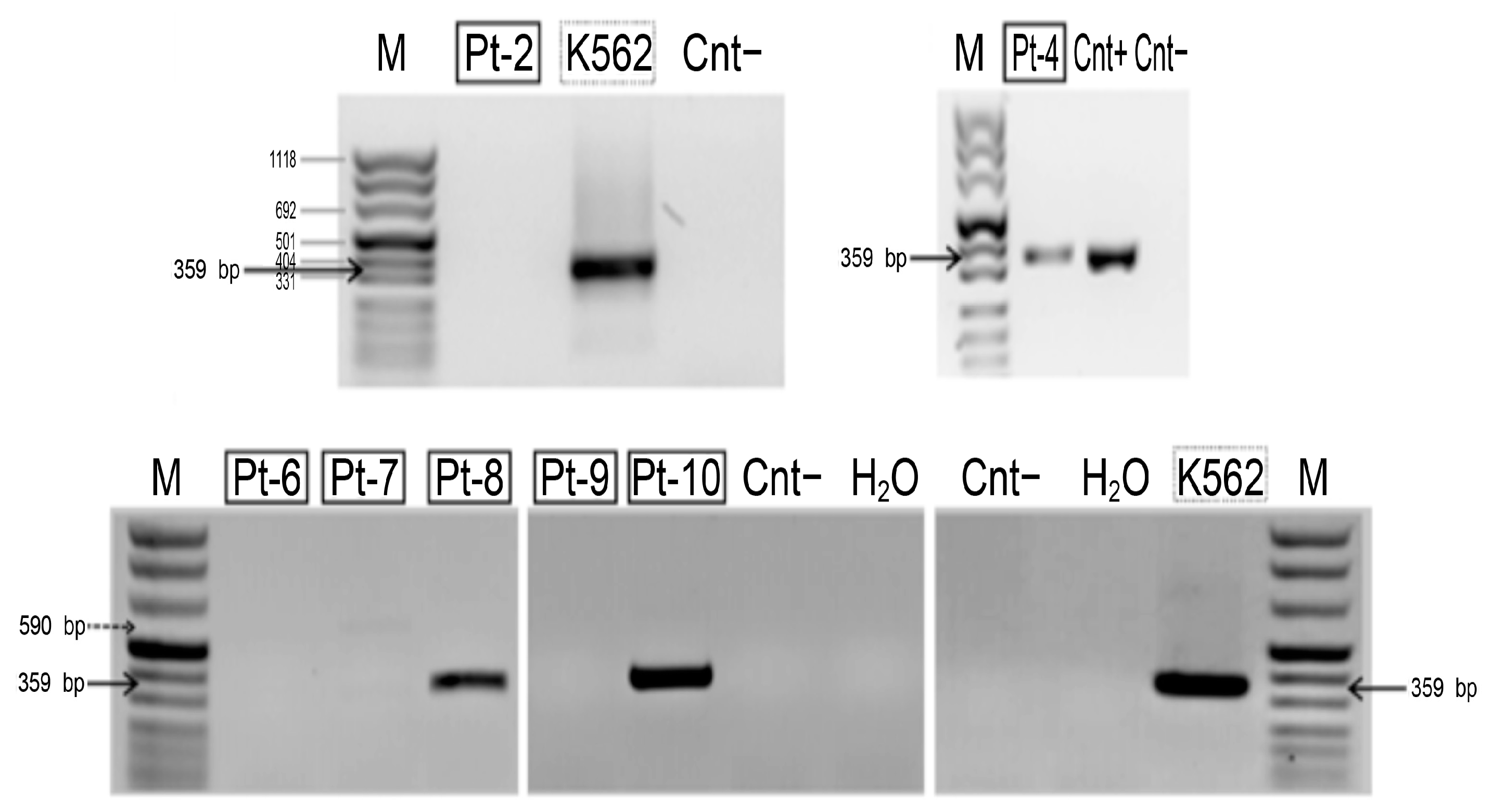 Cancers 11 00585 g007 Cancers 11 00585 g007