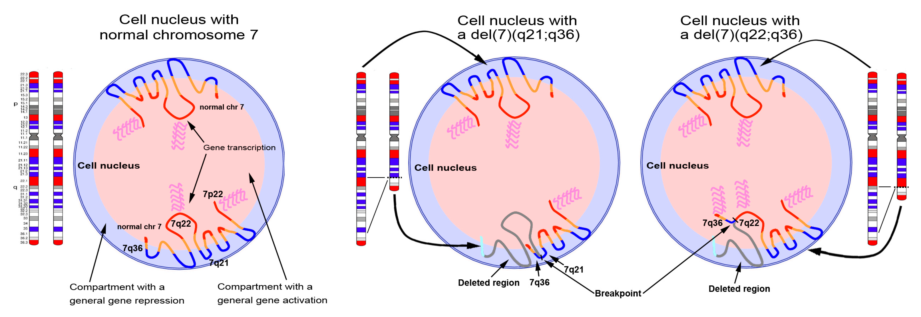 Cancers 11 00585 g008 Cancers 11 00585 g008