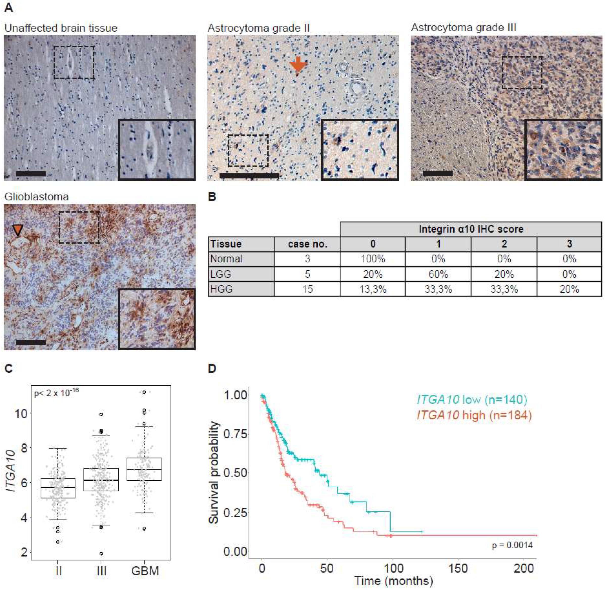 Cancers 11 00587 g001 Cancers 11 00587 g001