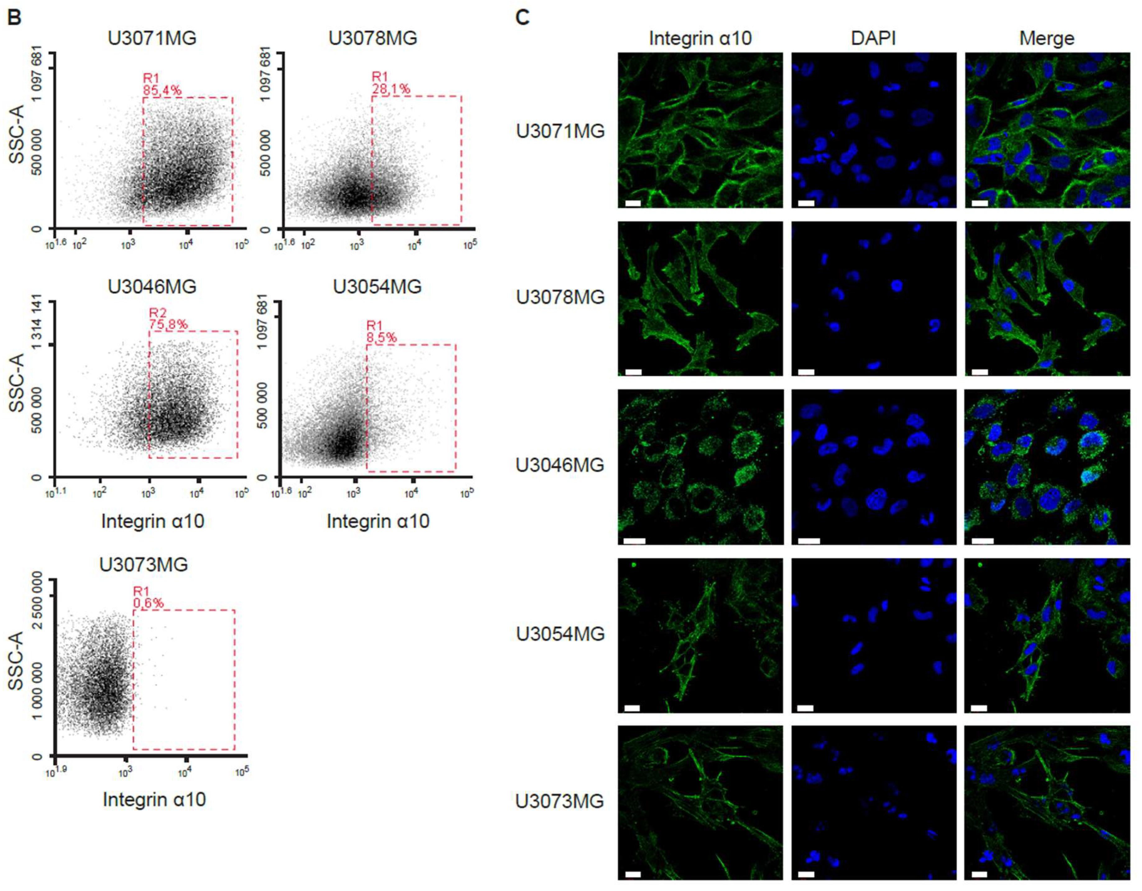 Cancers 11 00587 g002b Cancers 11 00587 g002b