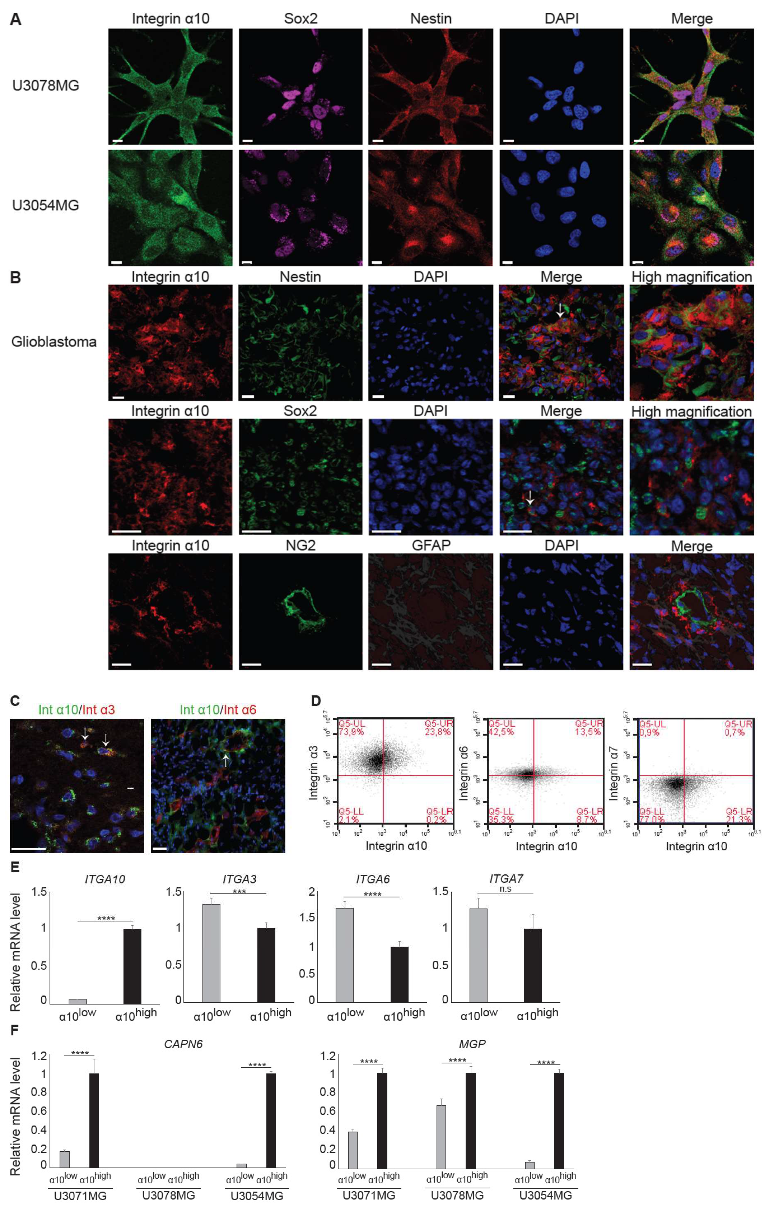 Cancers 11 00587 g003 Cancers 11 00587 g003