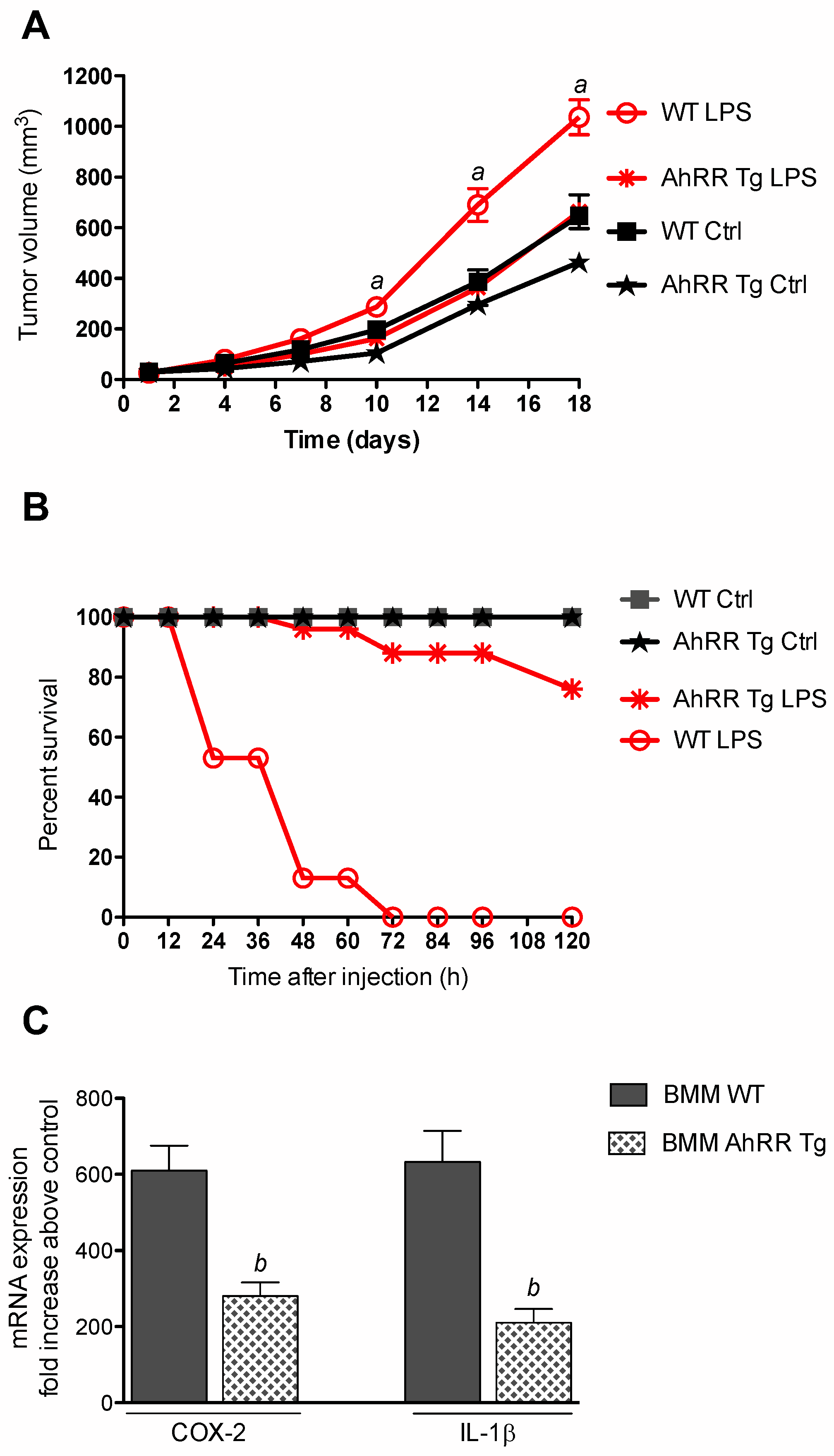 Cancers 11 00589 g002
