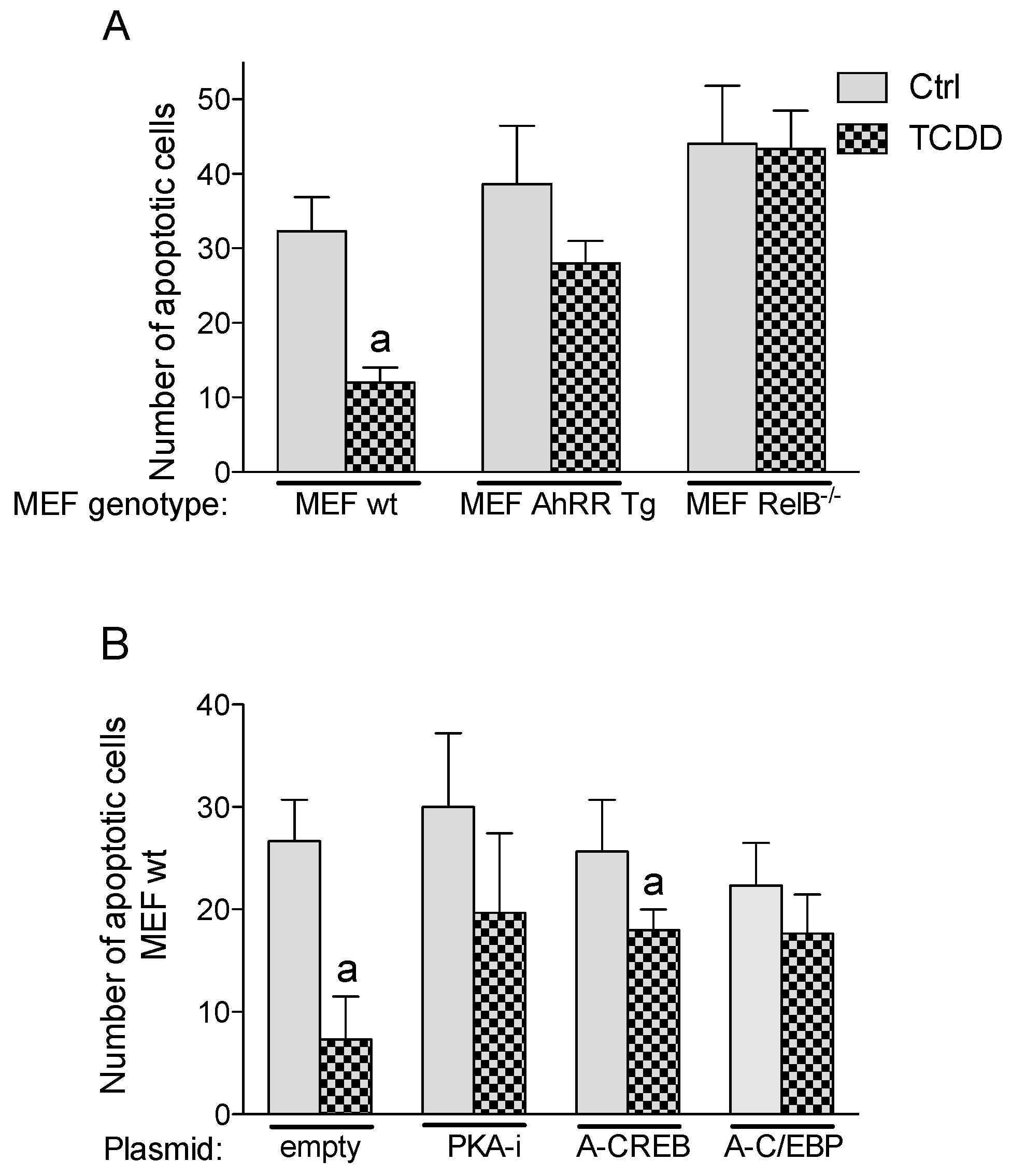 Cancers 11 00589 g007