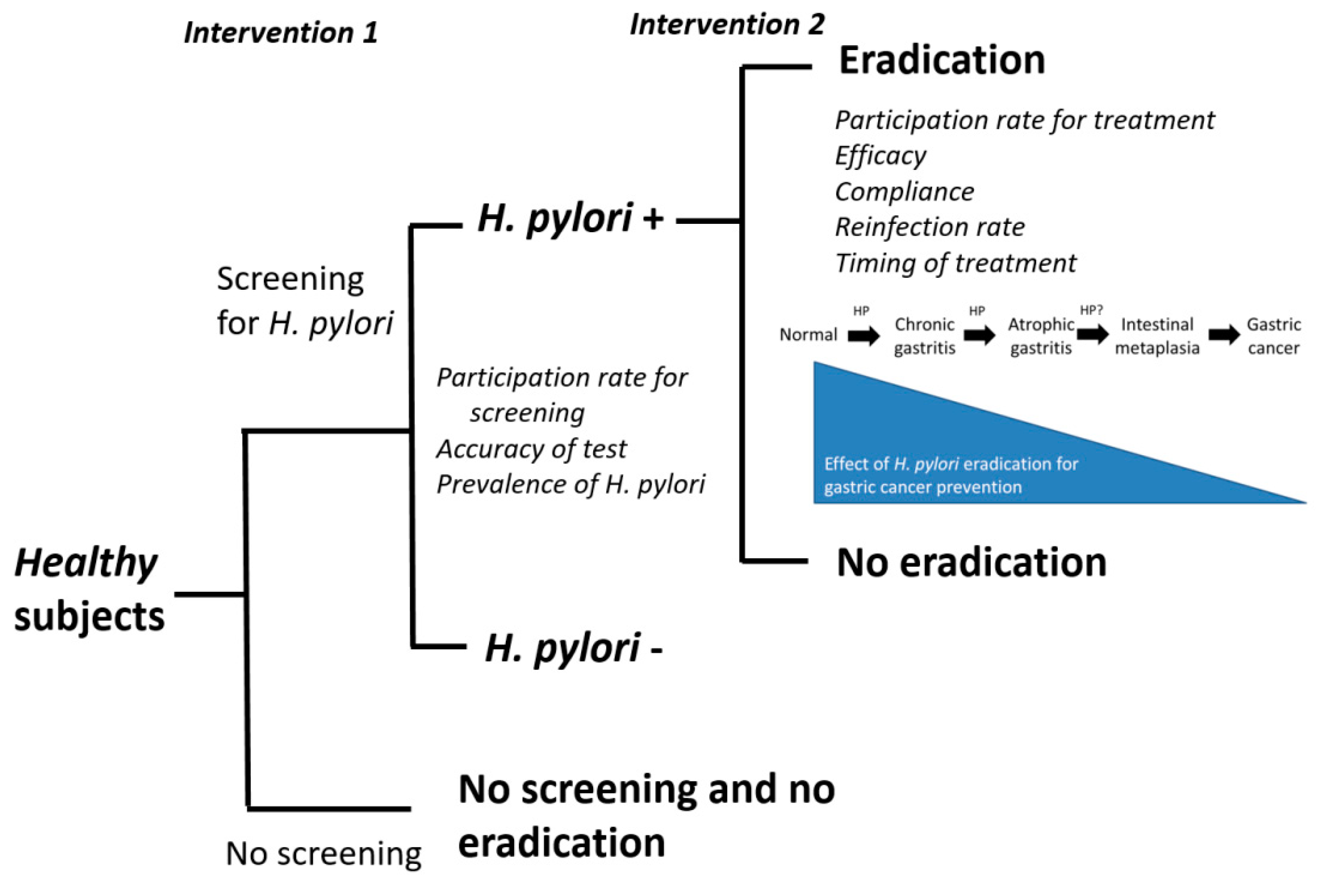Cancers 11 00593 g003