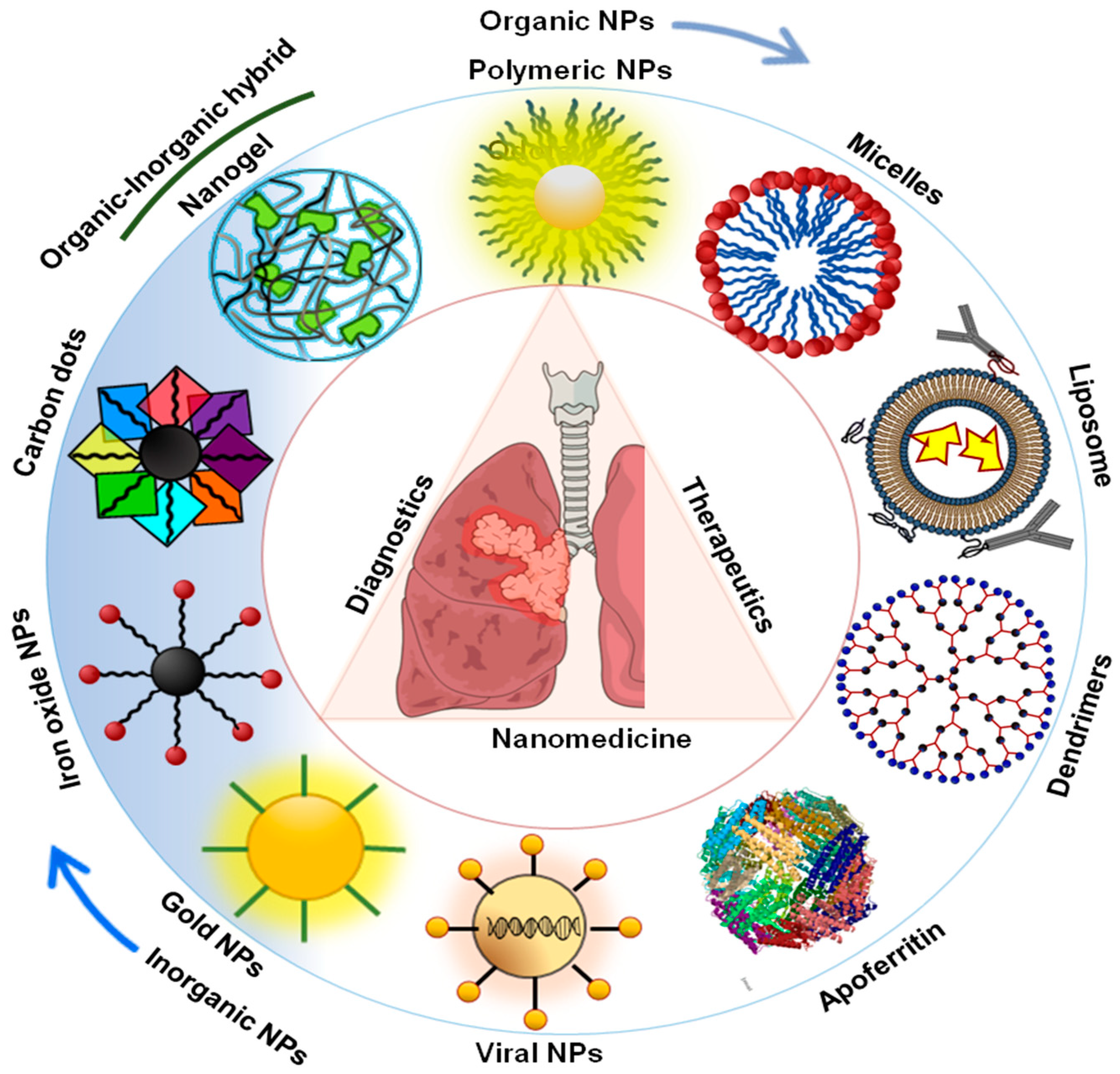 Cancers 11 00597 g001