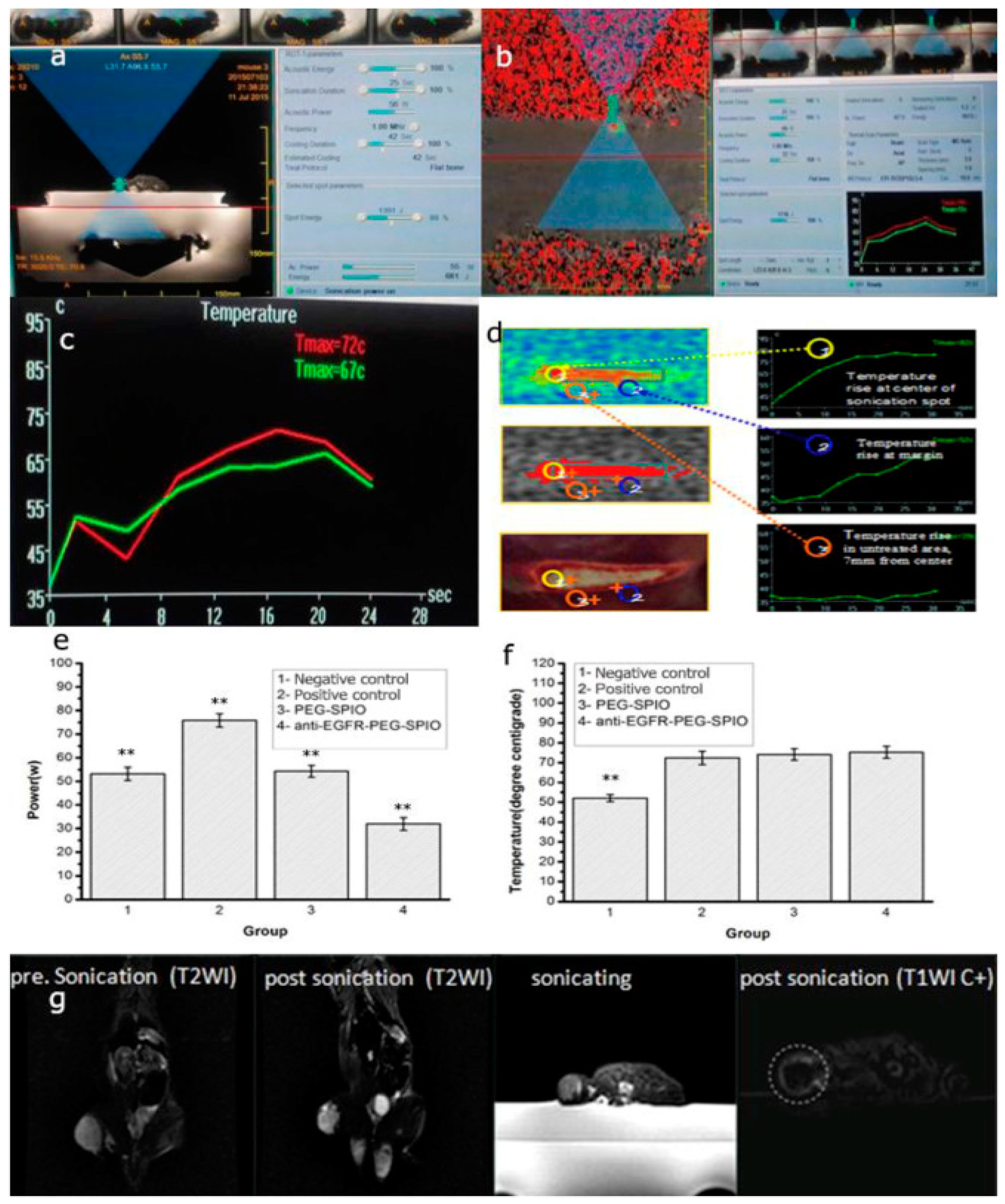 Cancers 11 00597 g003
