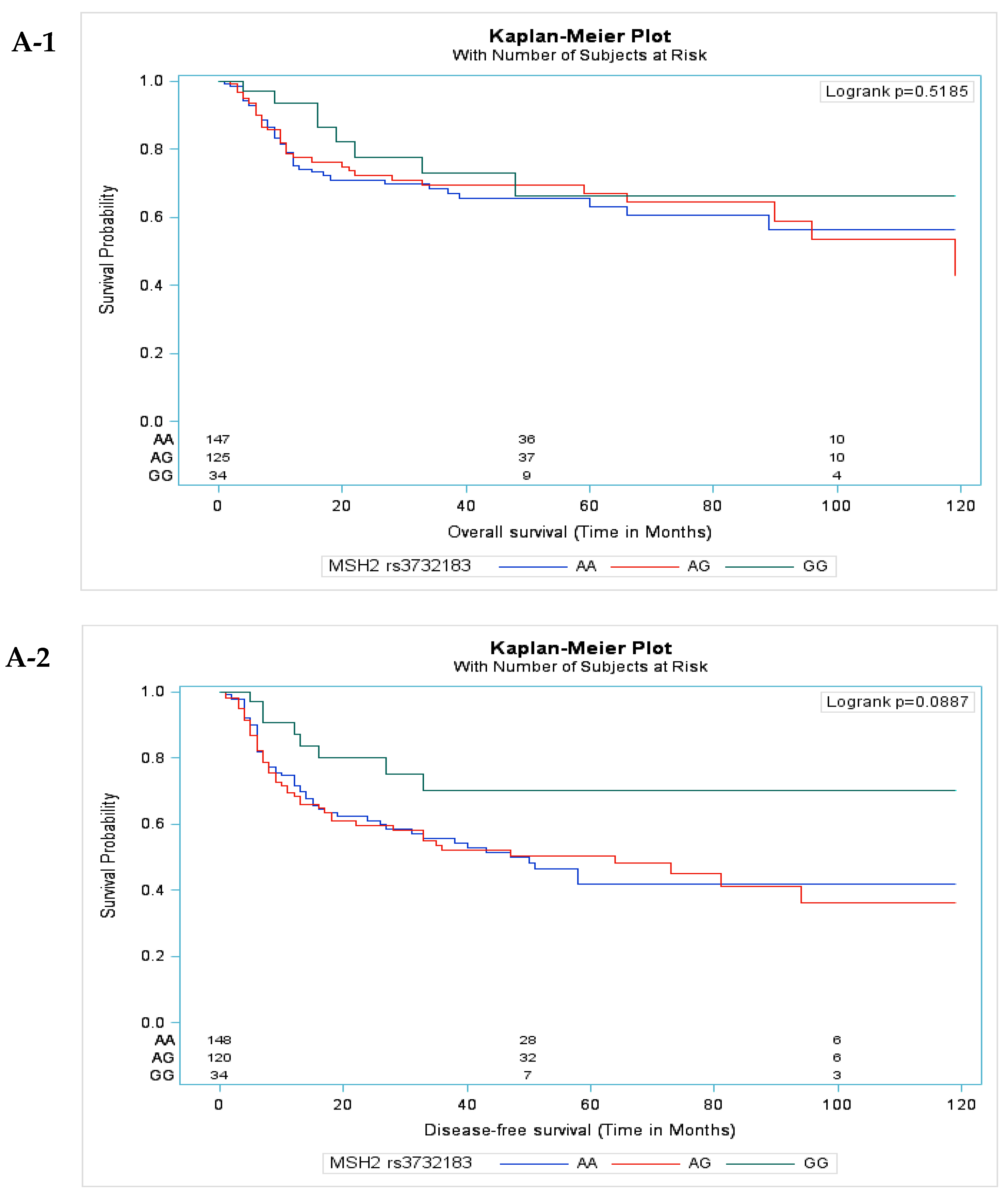 Cancers 11 00598 g001a