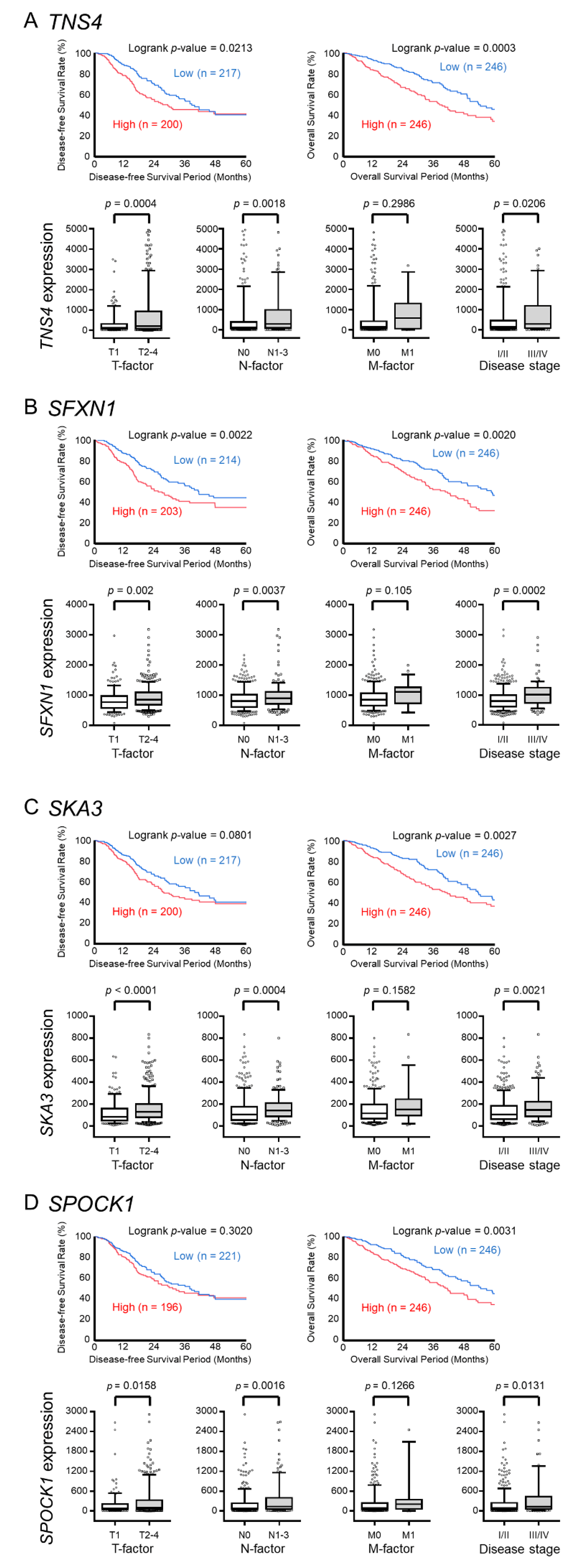 Cancers 11 00601 g003