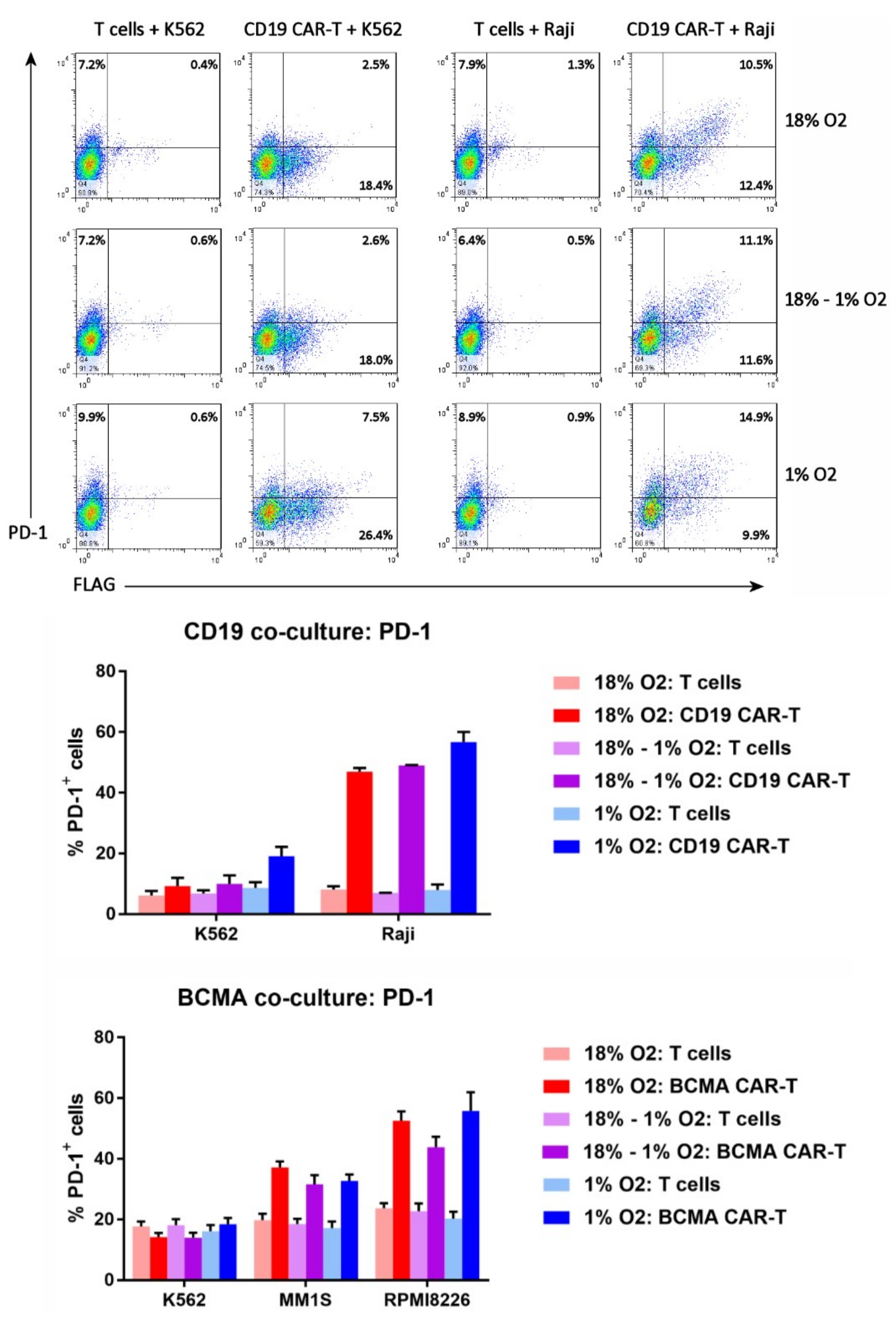Cancers 11 00602 g008 Cancers 11 00602 g008