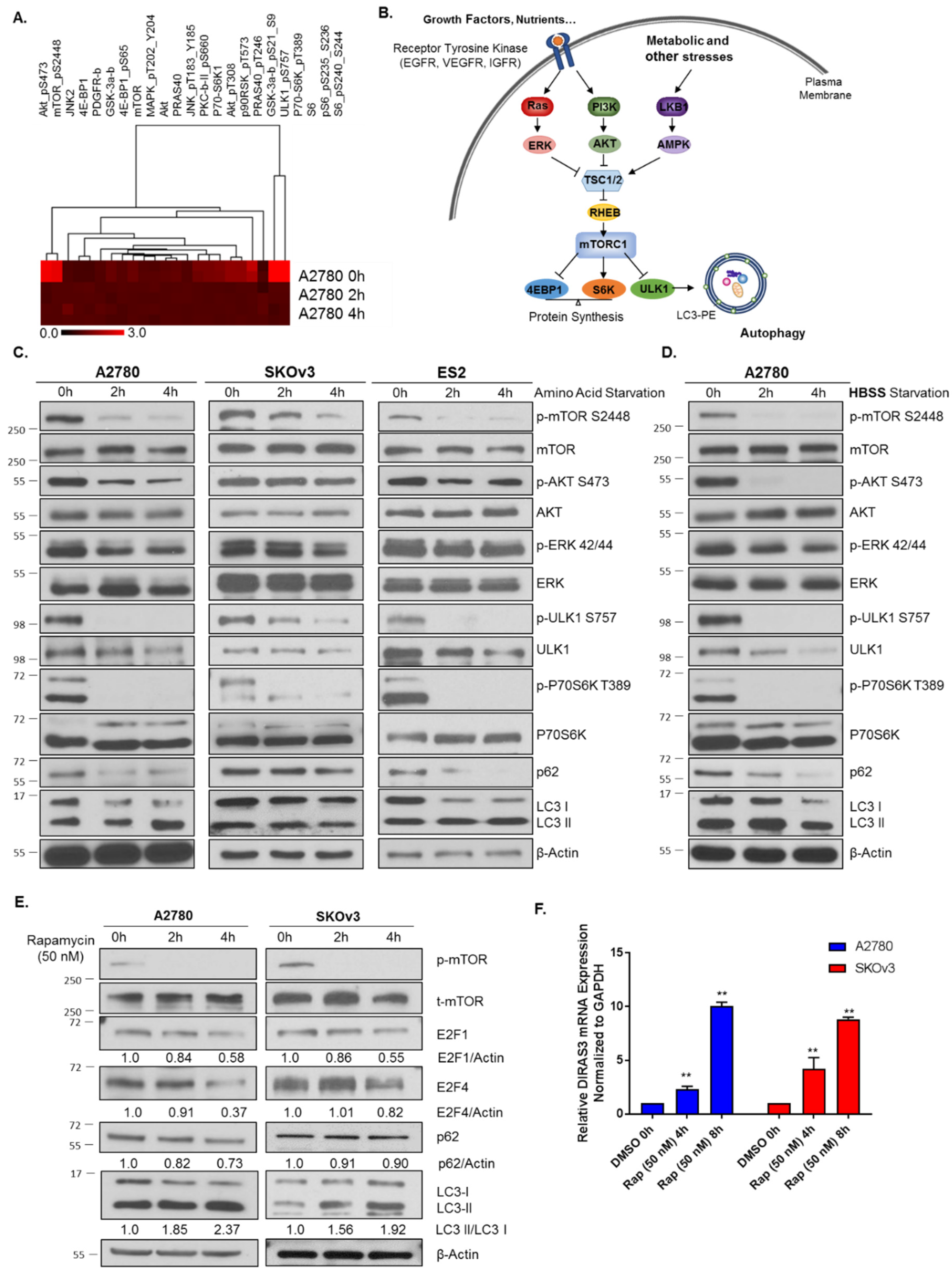 Cancers 11 00603 g002