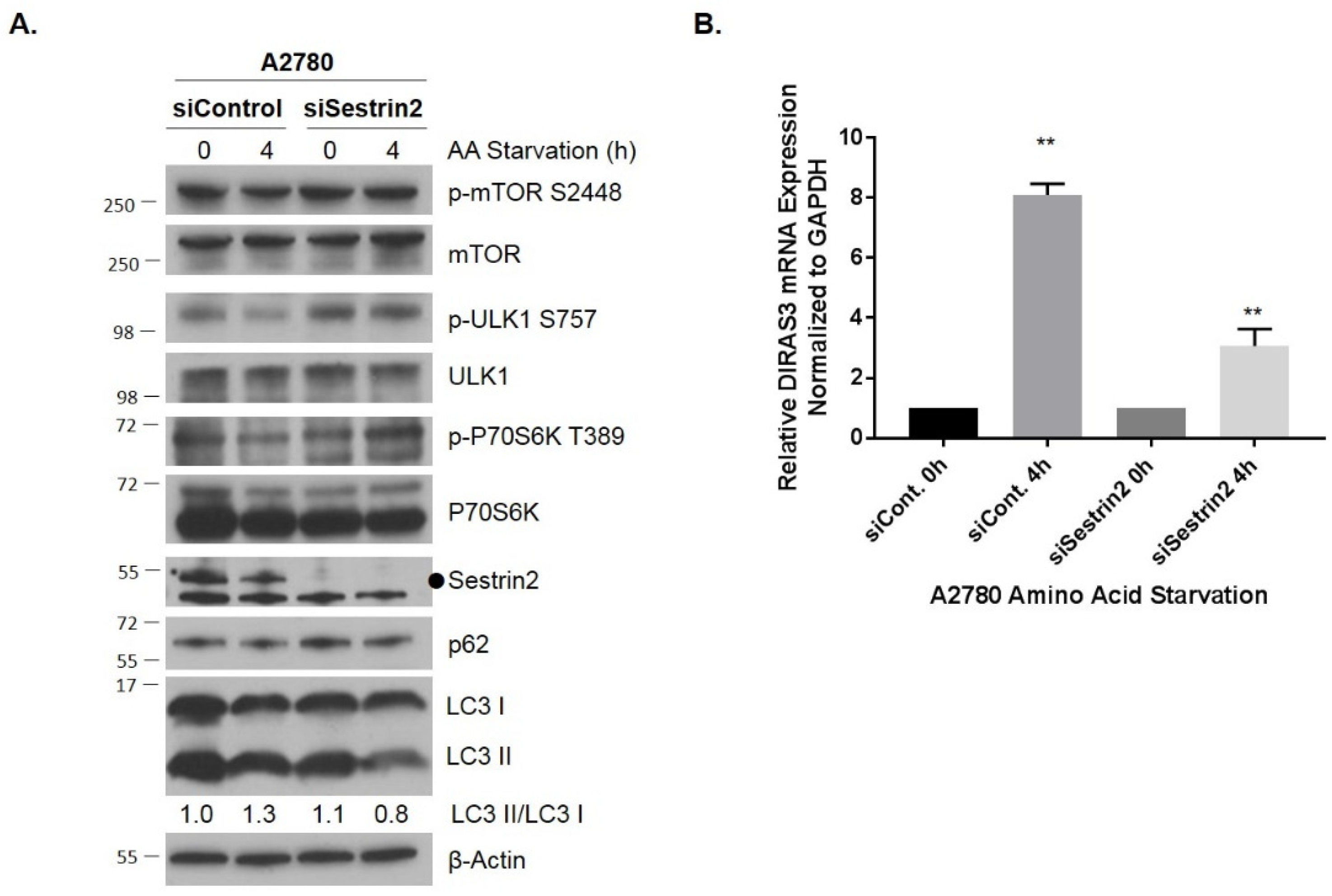 Cancers 11 00603 g003