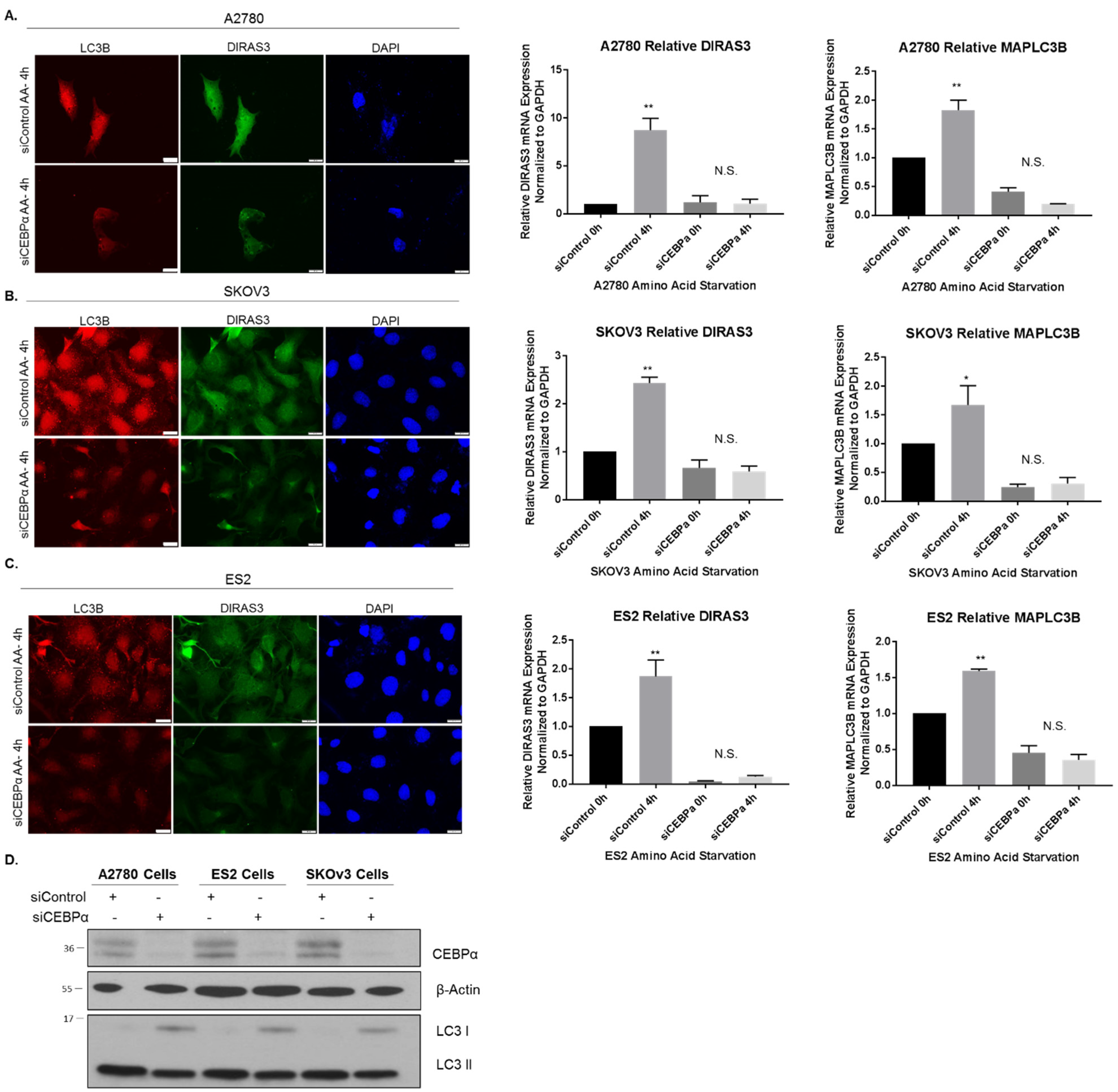 Cancers 11 00603 g007