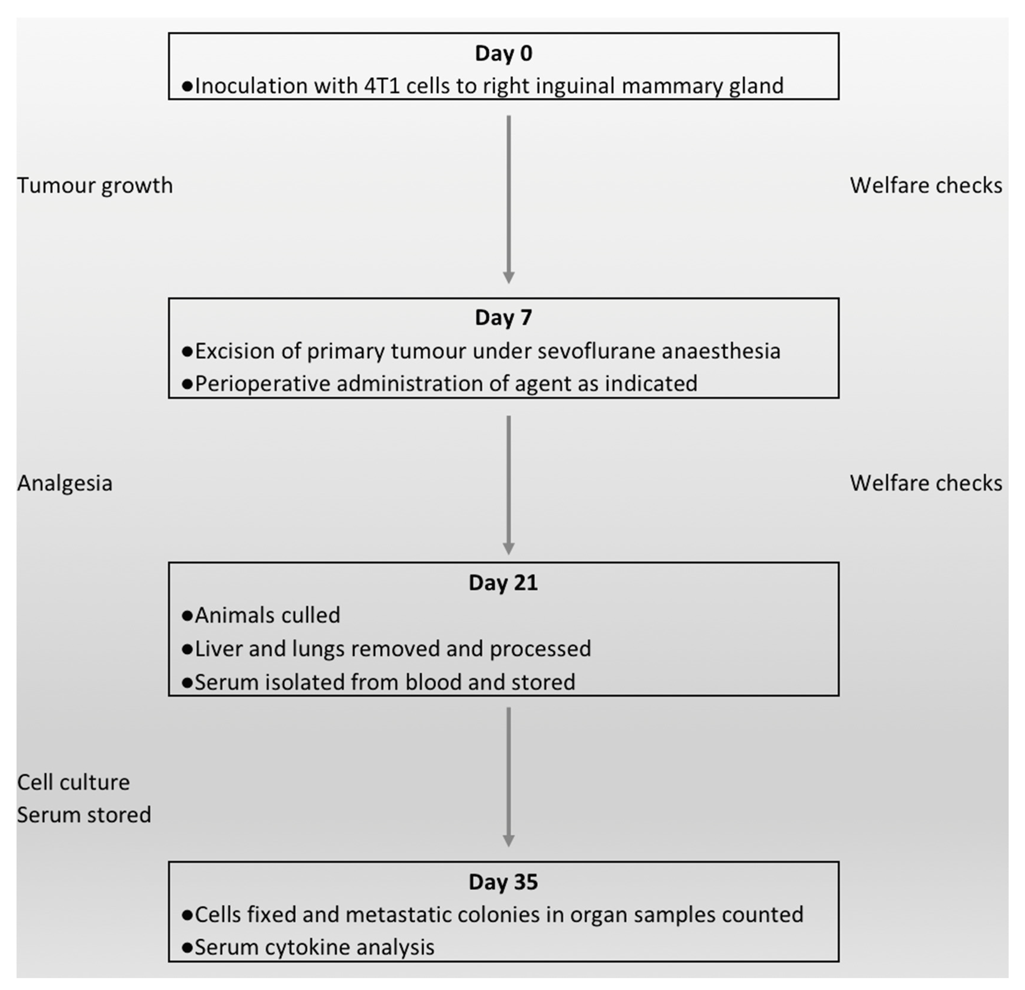 Cancers 11 00613 g003
