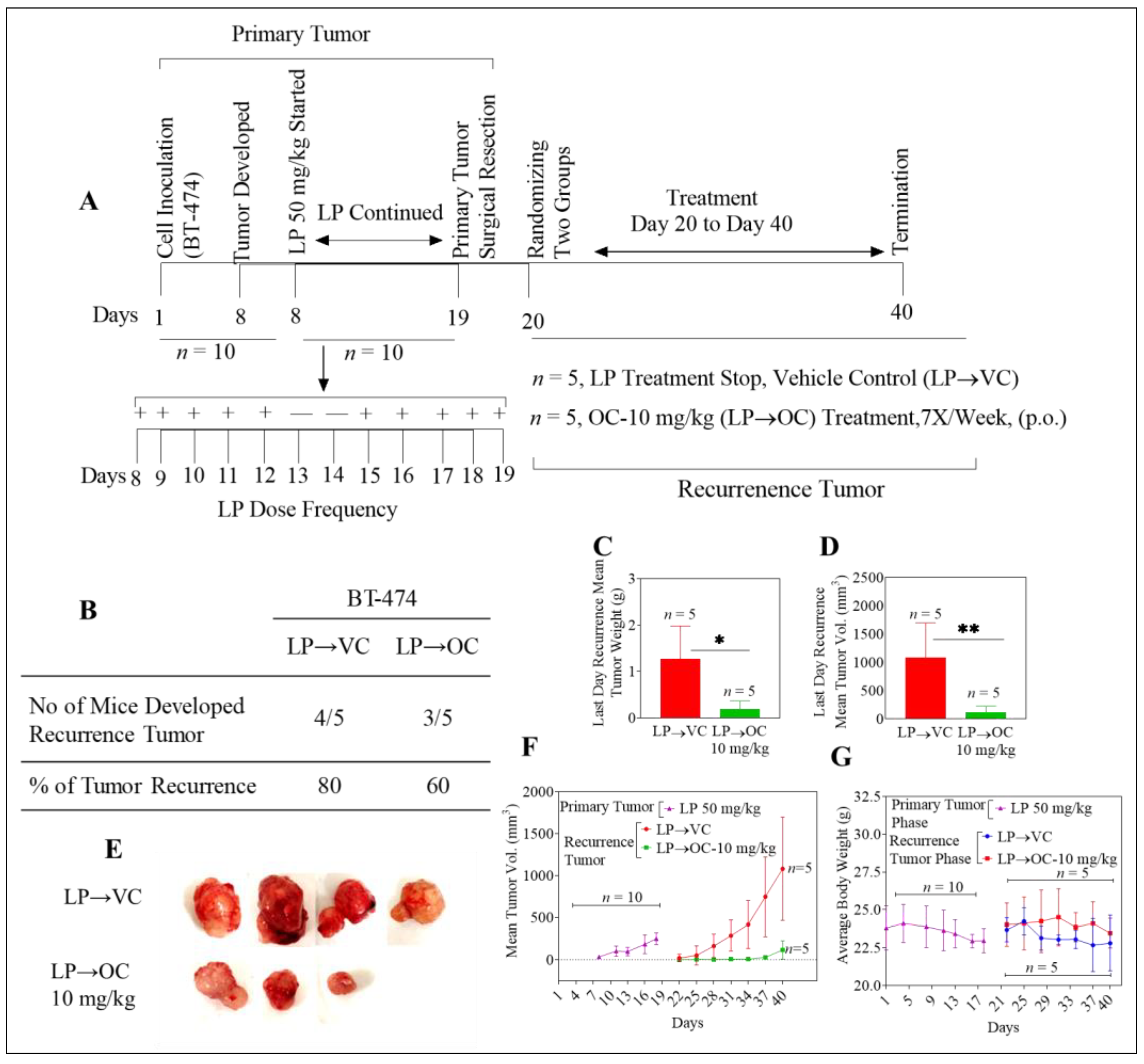 Cancers 11 00637 g003 Cancers 11 00637 g003