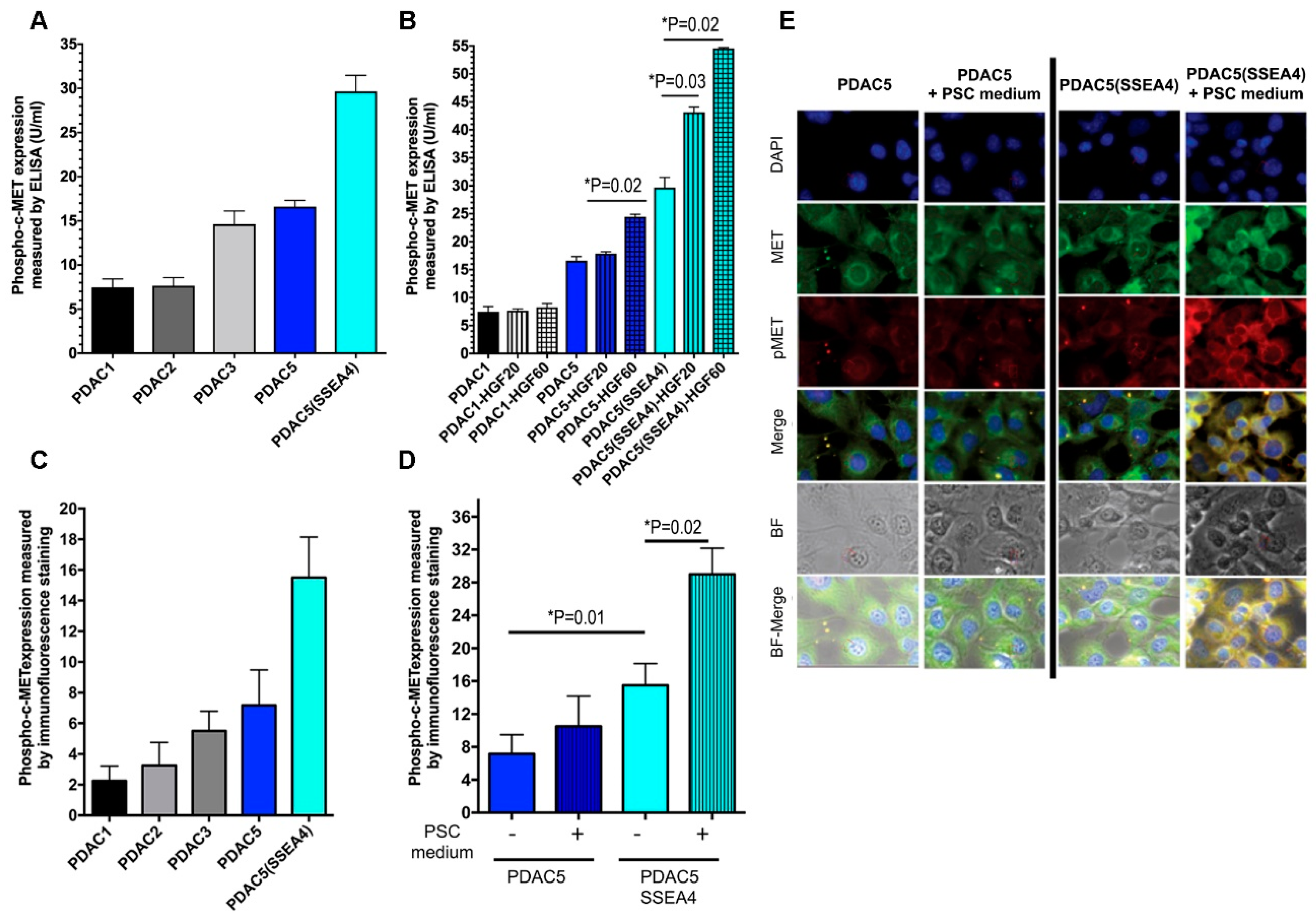 Cancers 11 00638 g001