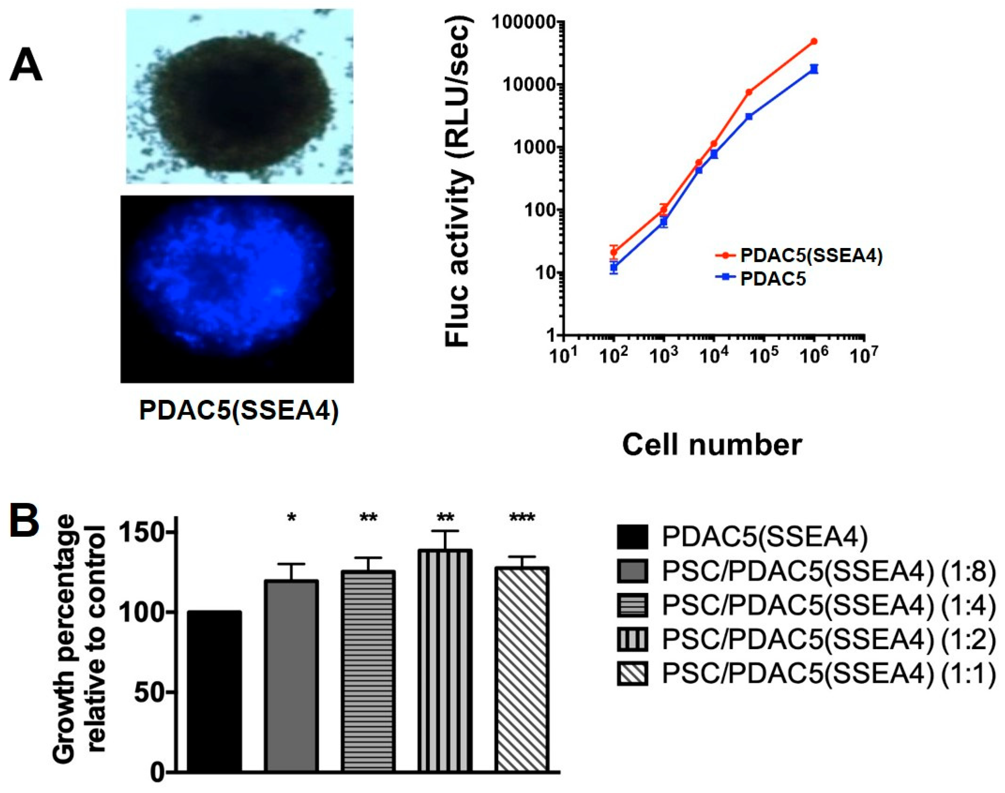 Cancers 11 00638 g005