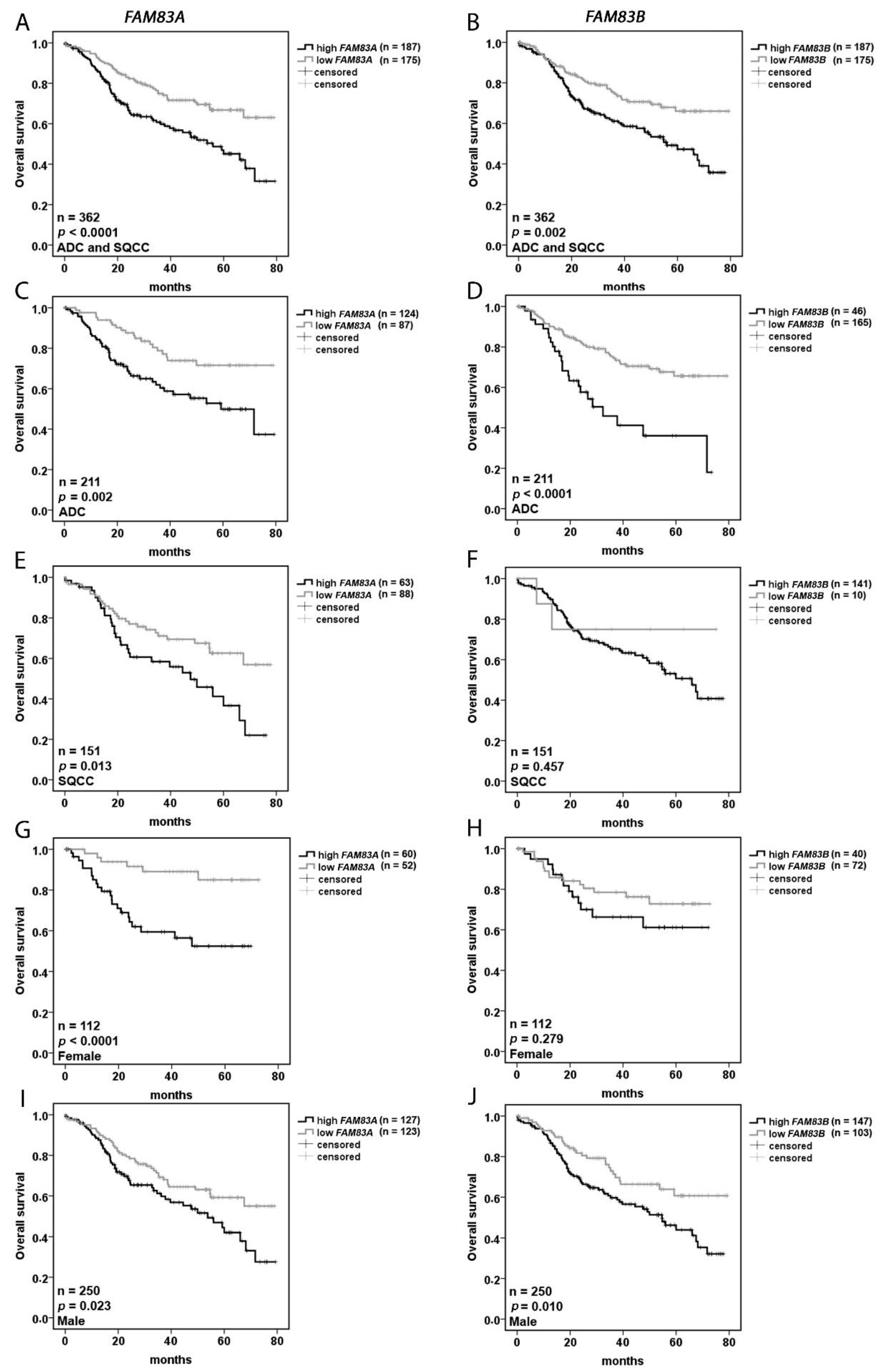 Cancers 11 00652 g002 Cancers 11 00652 g002