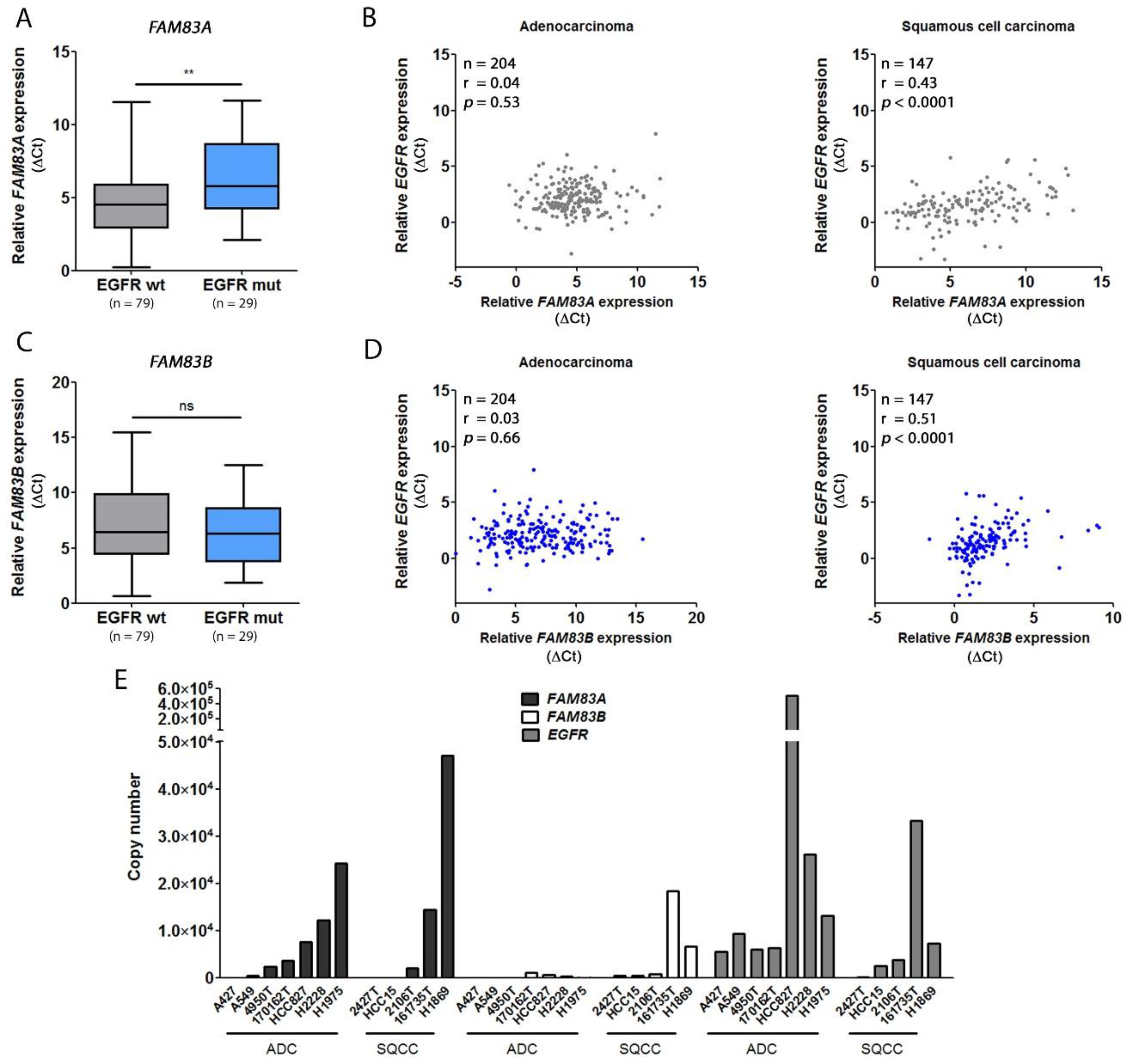 Cancers 11 00652 g003 Cancers 11 00652 g003
