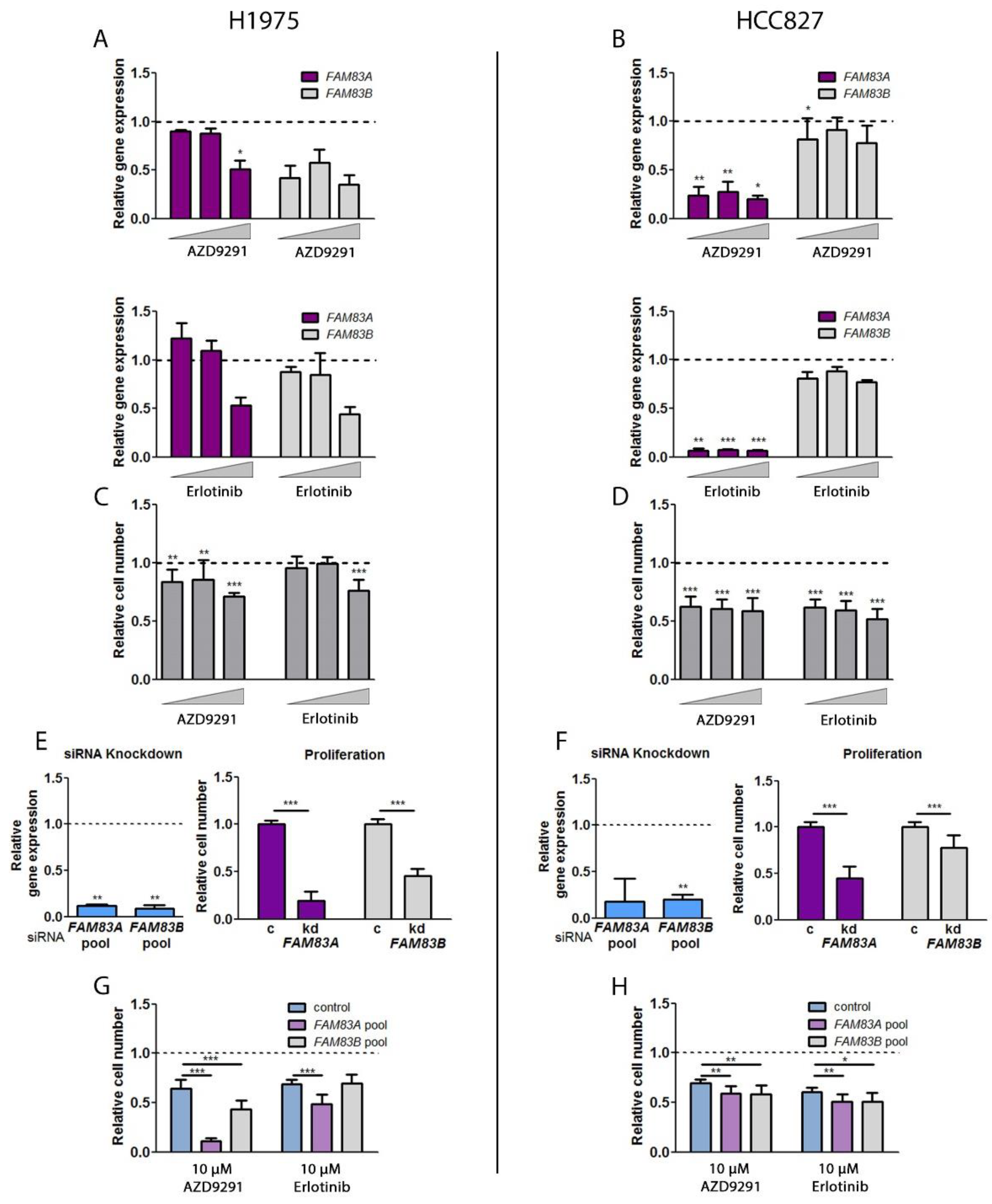 Cancers 11 00652 g005 Cancers 11 00652 g005