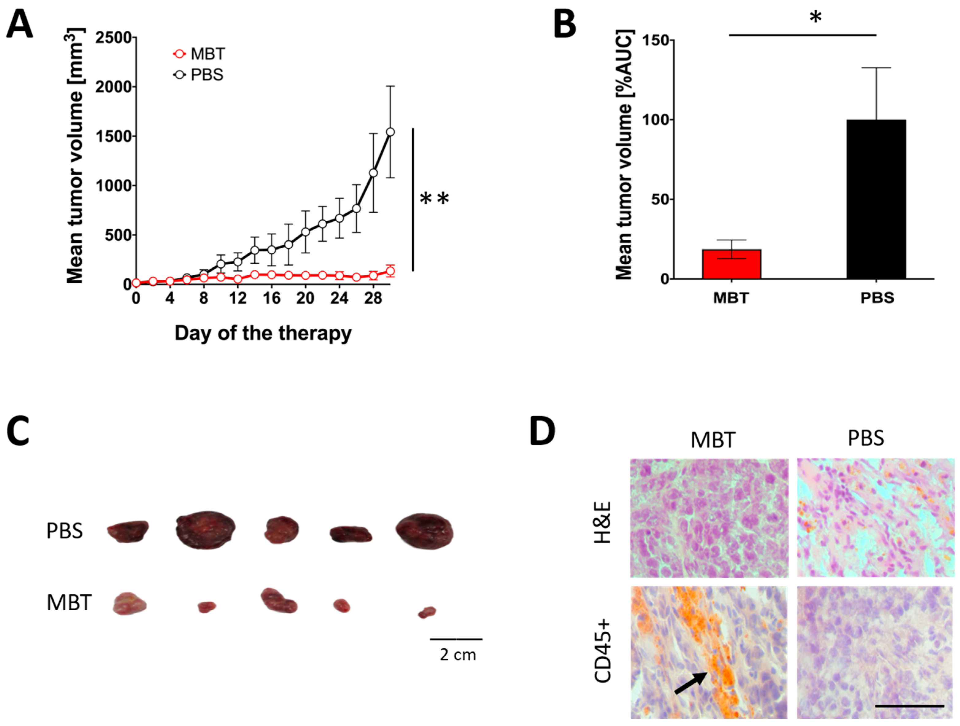 Cancers 11 00654 g004 Cancers 11 00654 g004