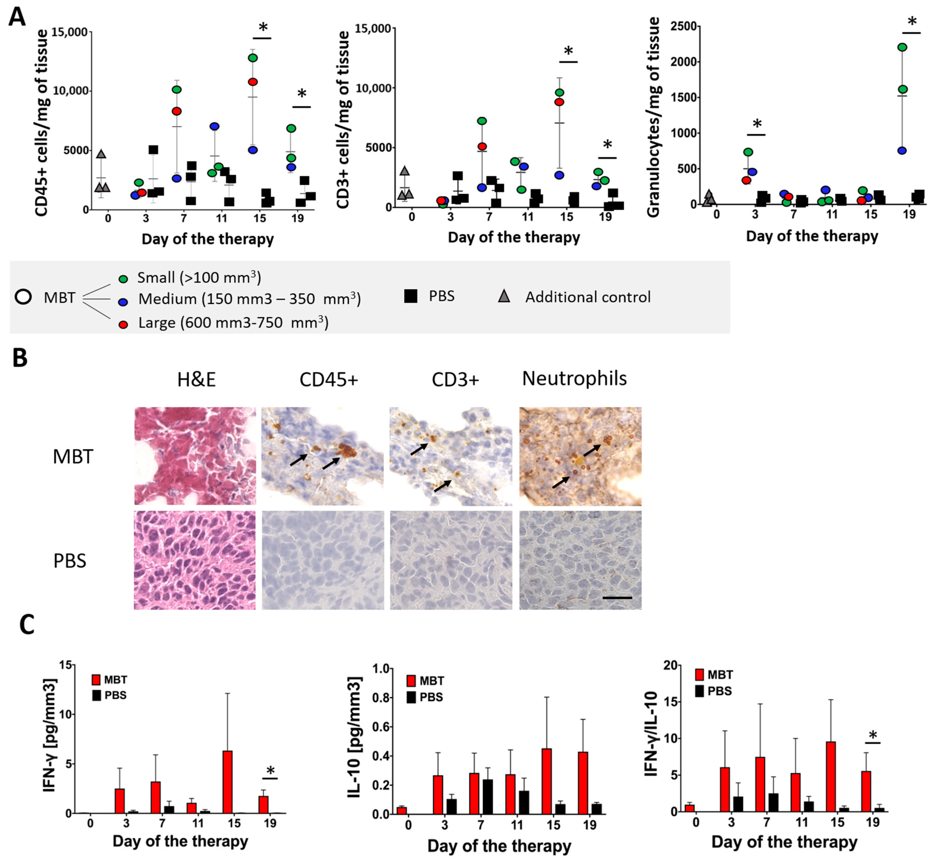 Cancers 11 00654 g005 Cancers 11 00654 g005