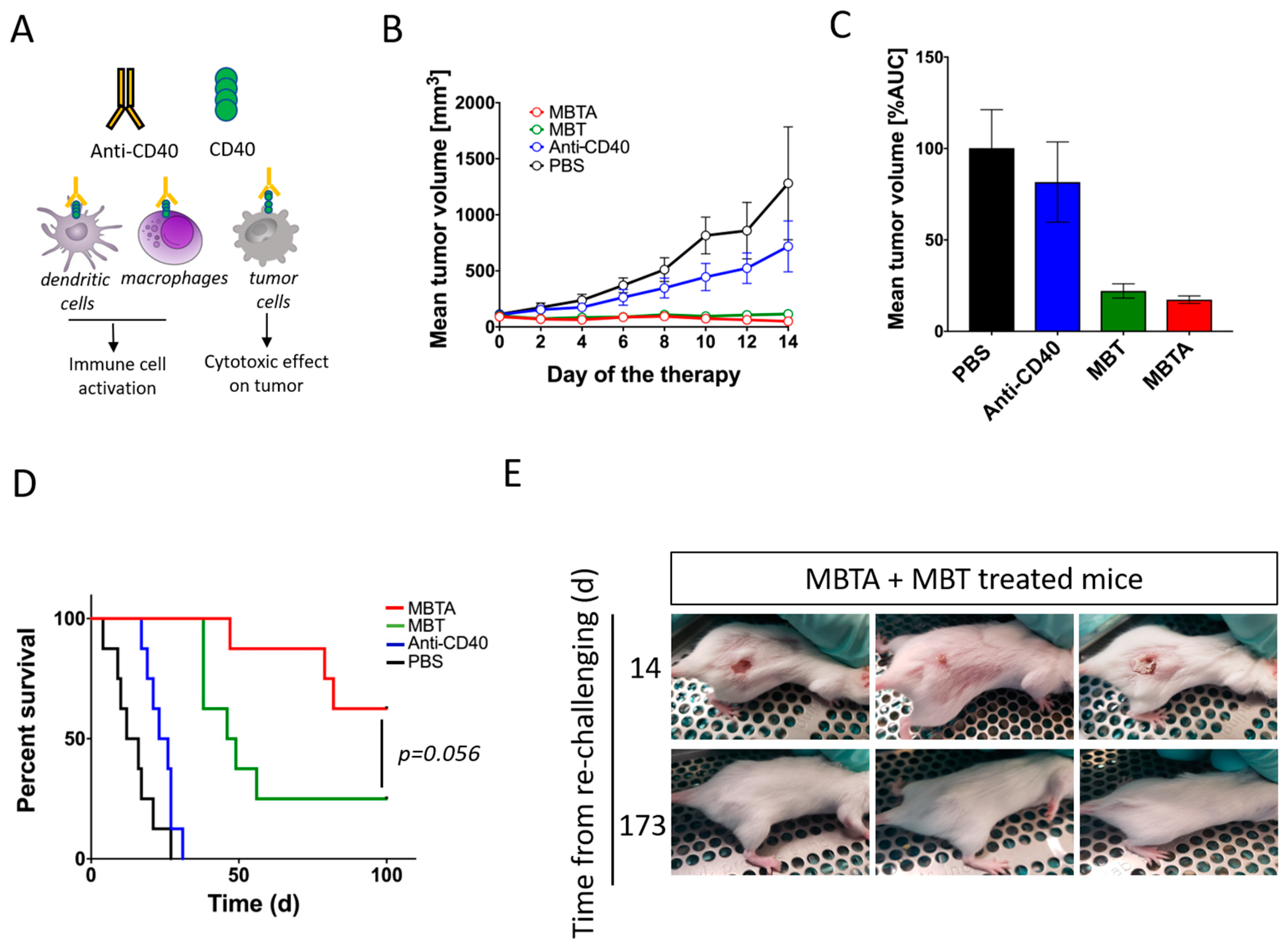 Cancers 11 00654 g007 Cancers 11 00654 g007