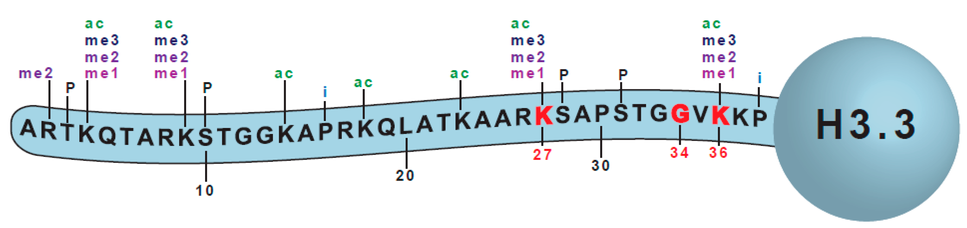 Cancers 11 00660 g001